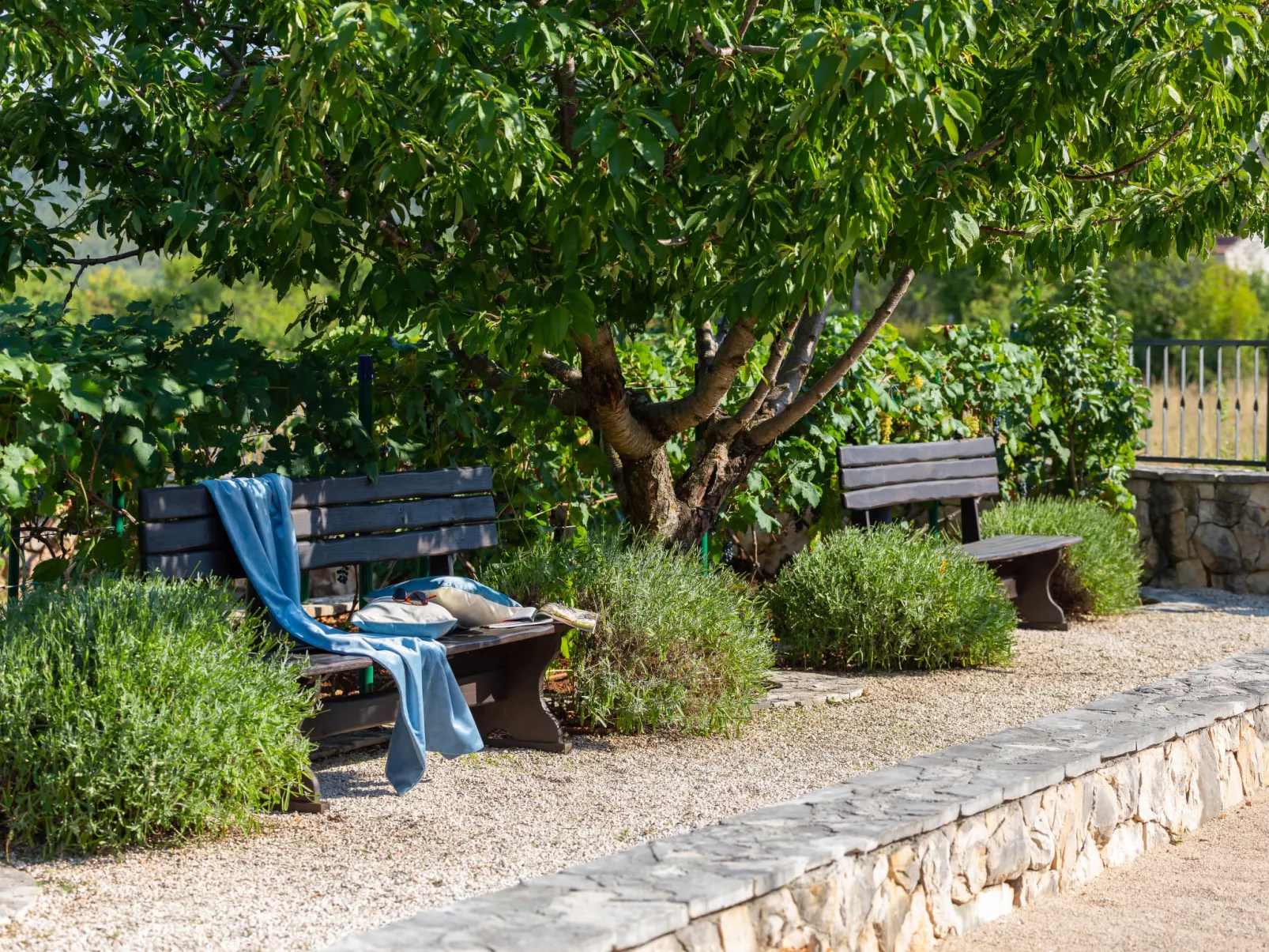 Villa Dalmatica moderna-Binnen