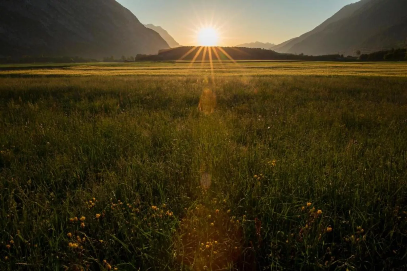 Ferienwohnung Jutta-Gebieden zomer 20km