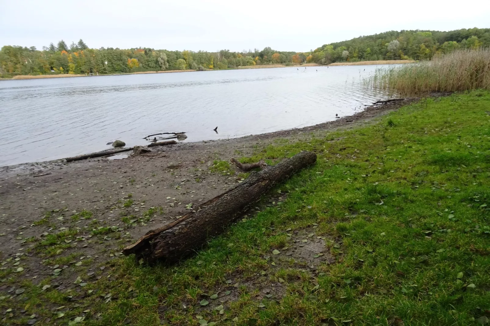 Luxus Appartement / 4 Personen-Gebieden zomer 5km