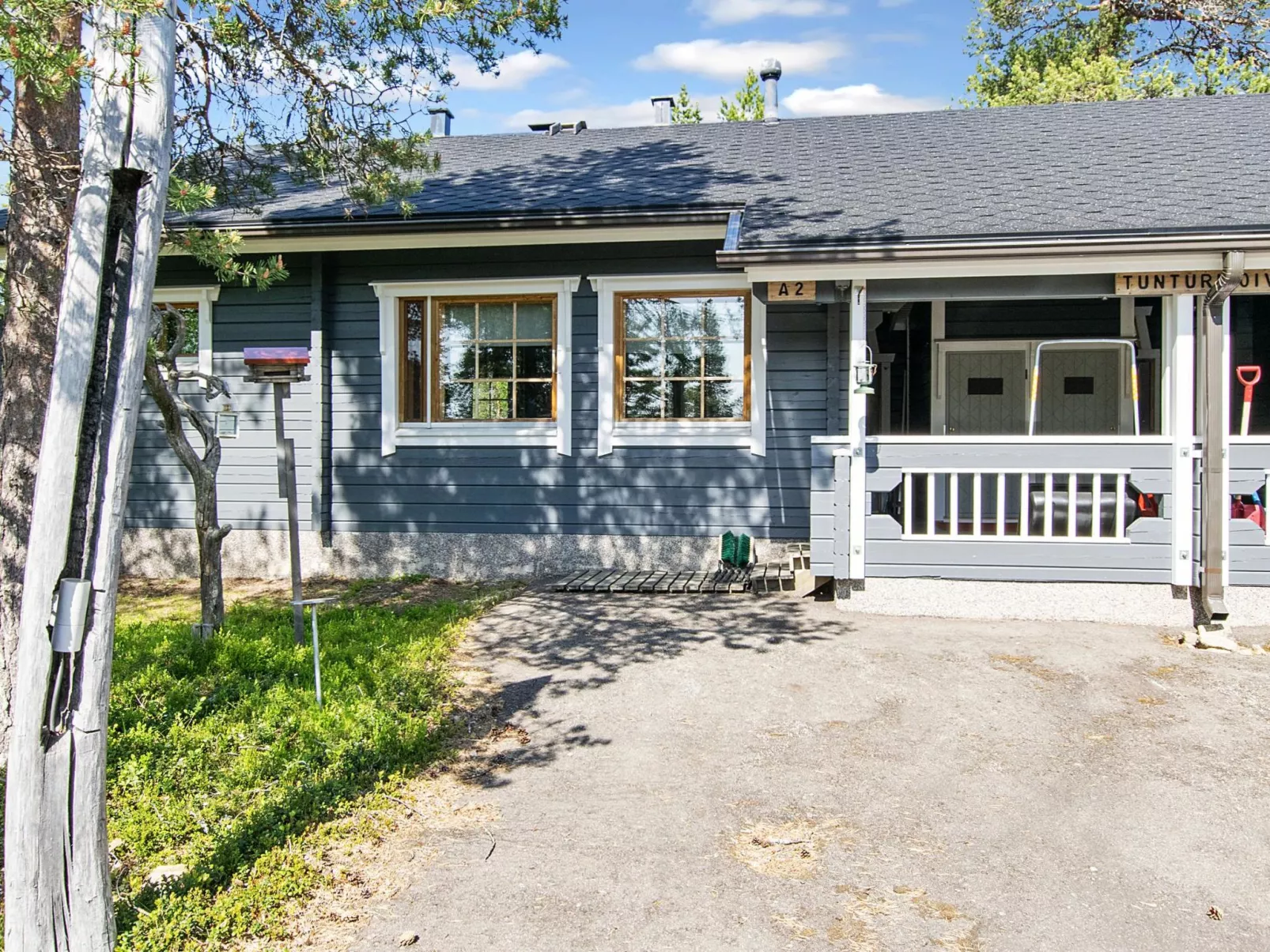 Tunturikoivu a2-Binnen