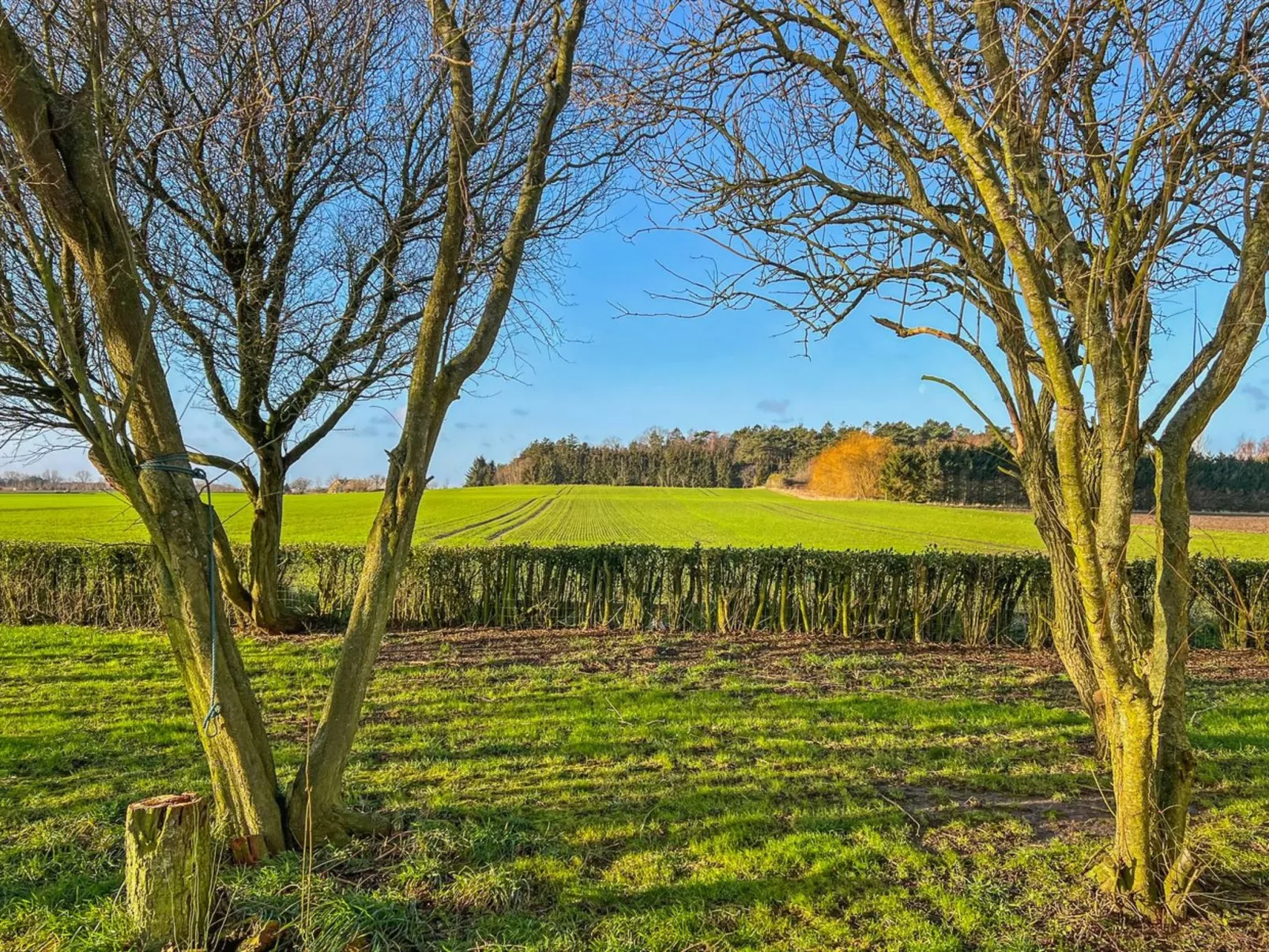 "Aulikki" - 2km from the sea-Buiten