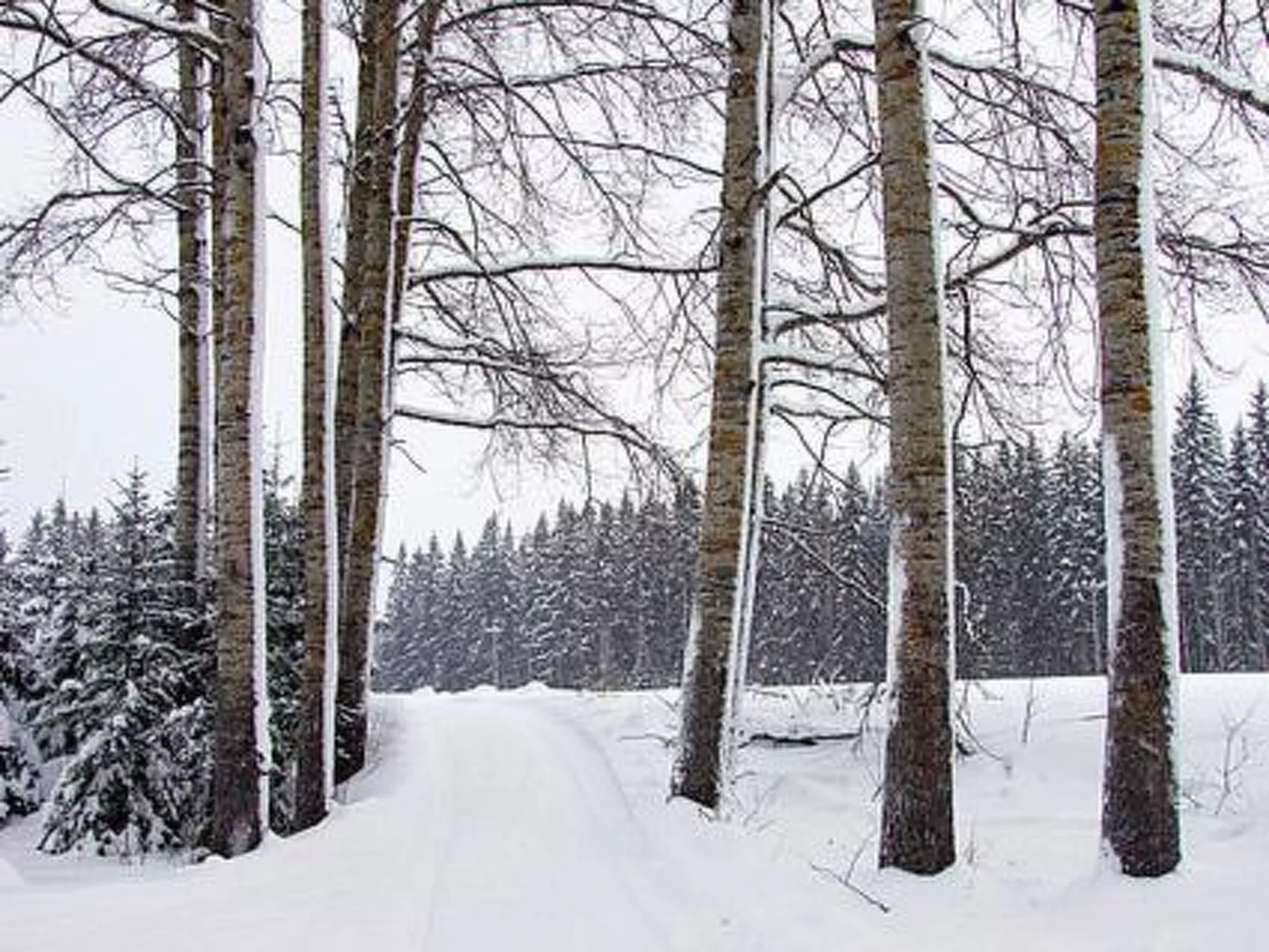 Kopinkallio 1-Binnen