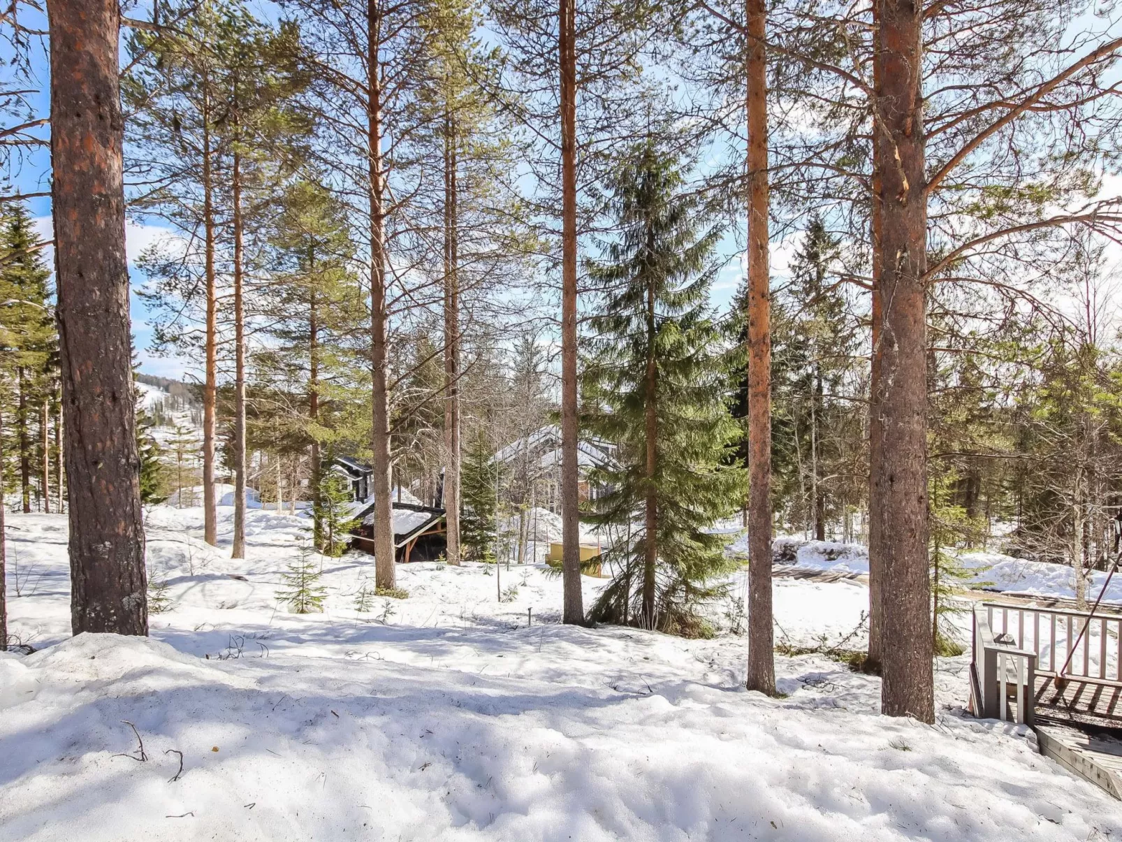 Hallanhelmi a paritalo-Binnen