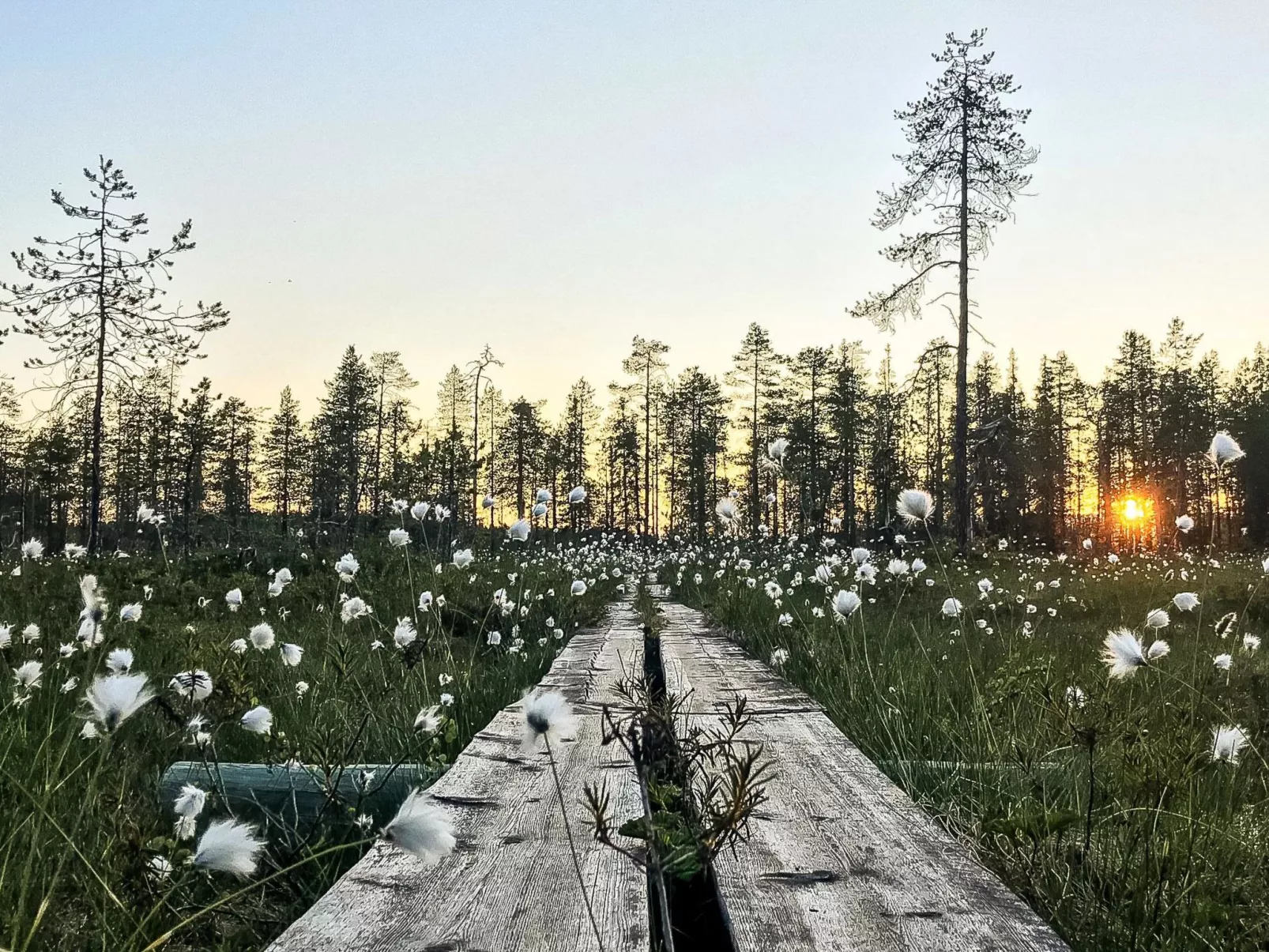 Jussis chalet b-Binnen