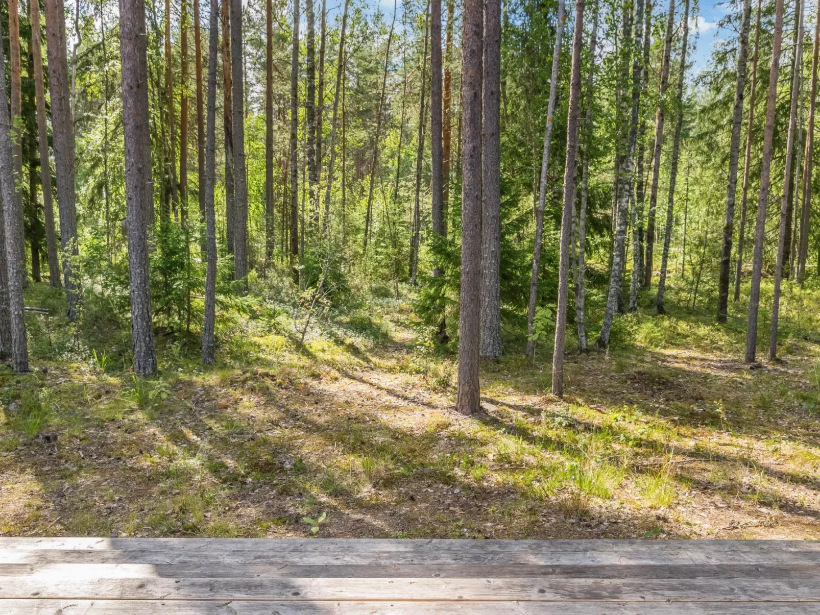 Villa väiski-Binnen