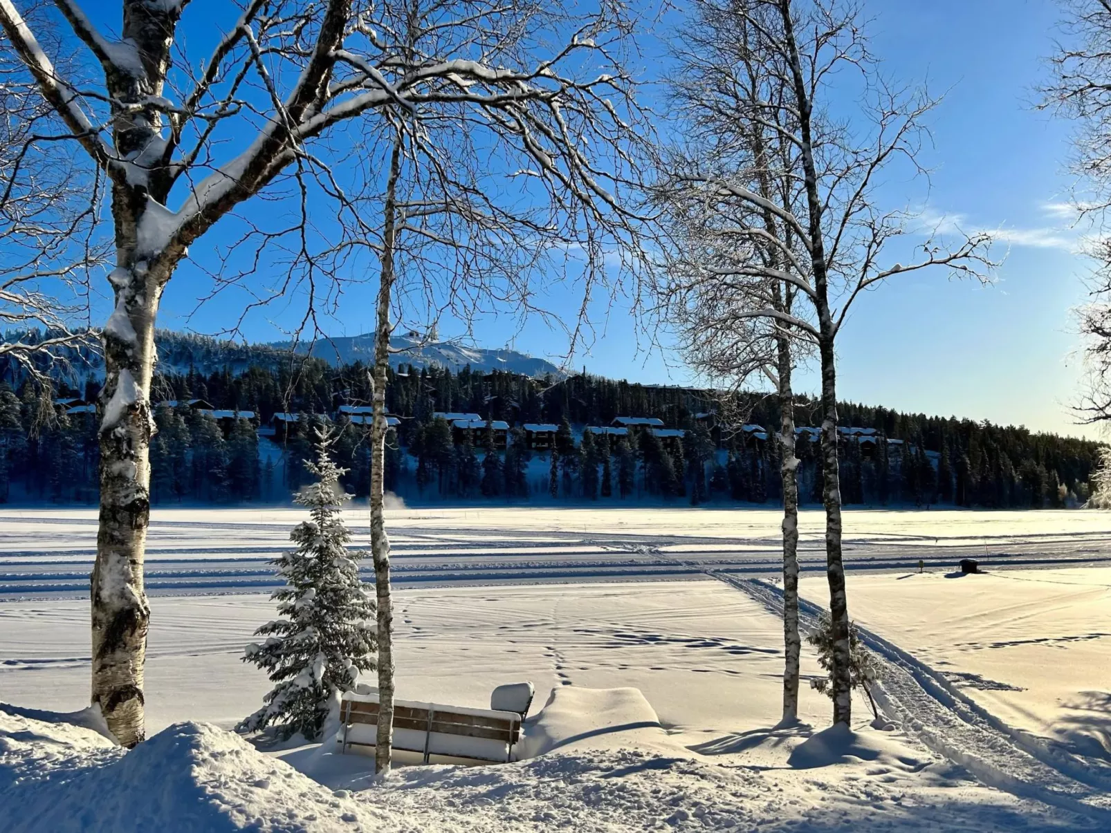 Lomakivakka b6-Binnen