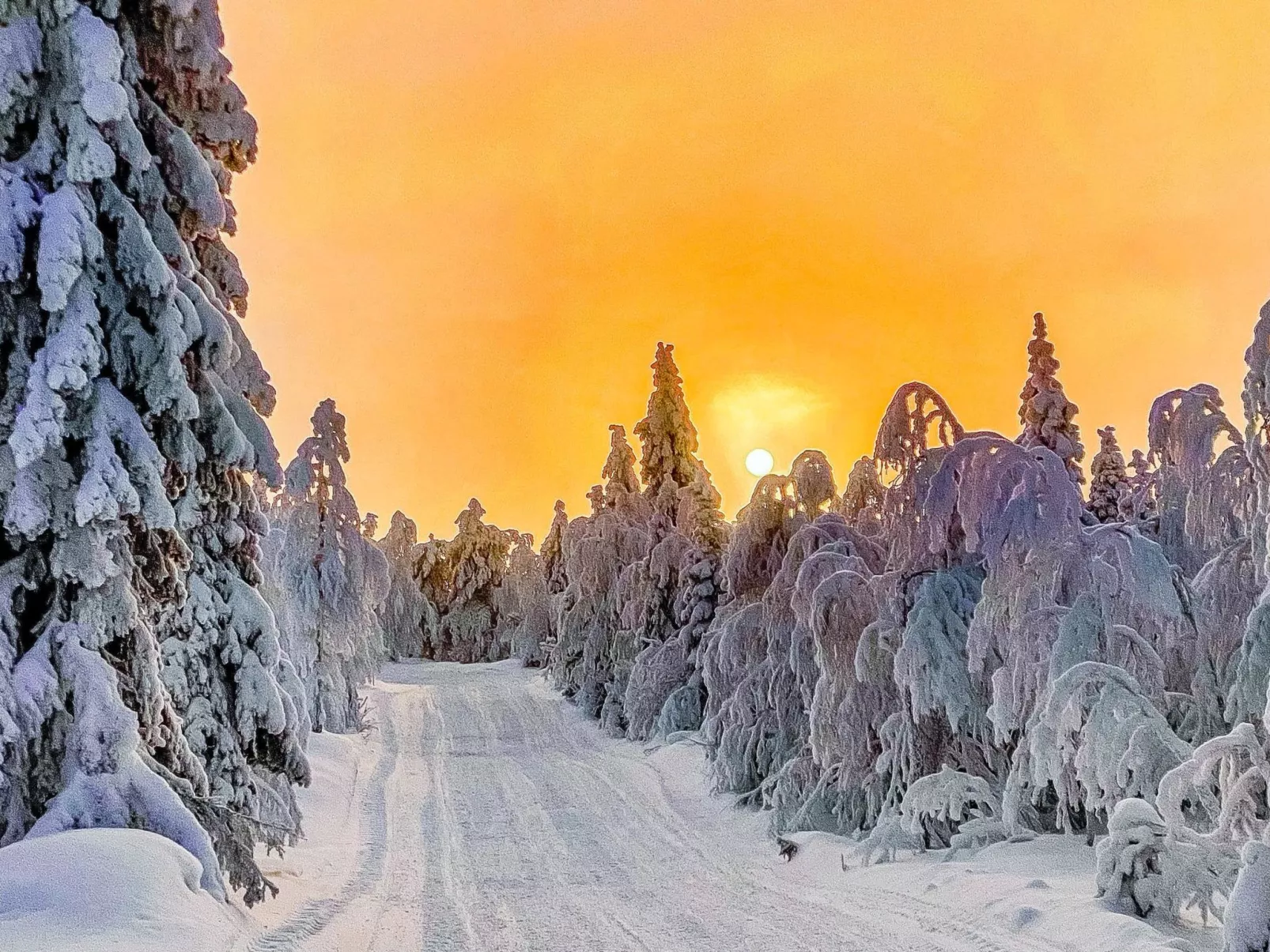 Villa alte ruka-Binnen