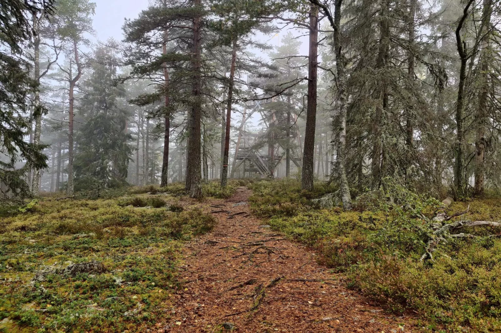 4 sterren vakantie huis in KIL-Niet-getagd