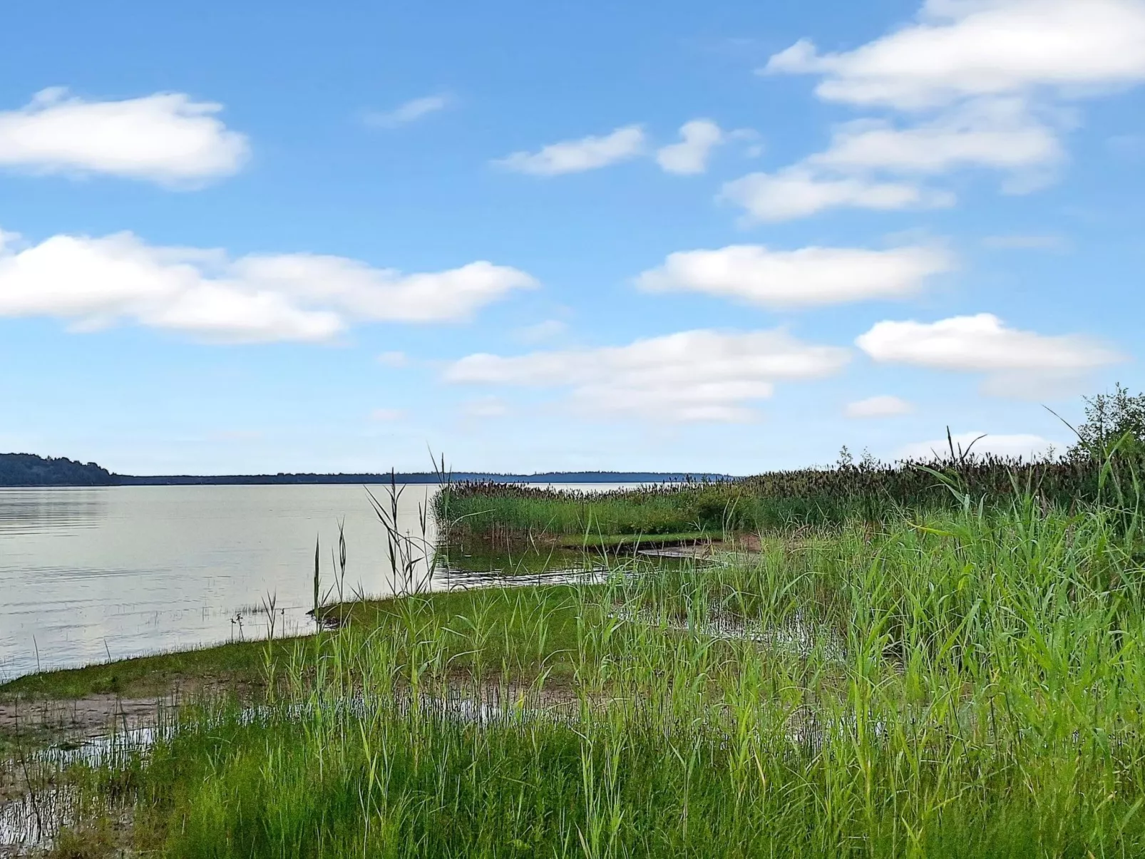 Kalamiehenkatu 6-Binnen