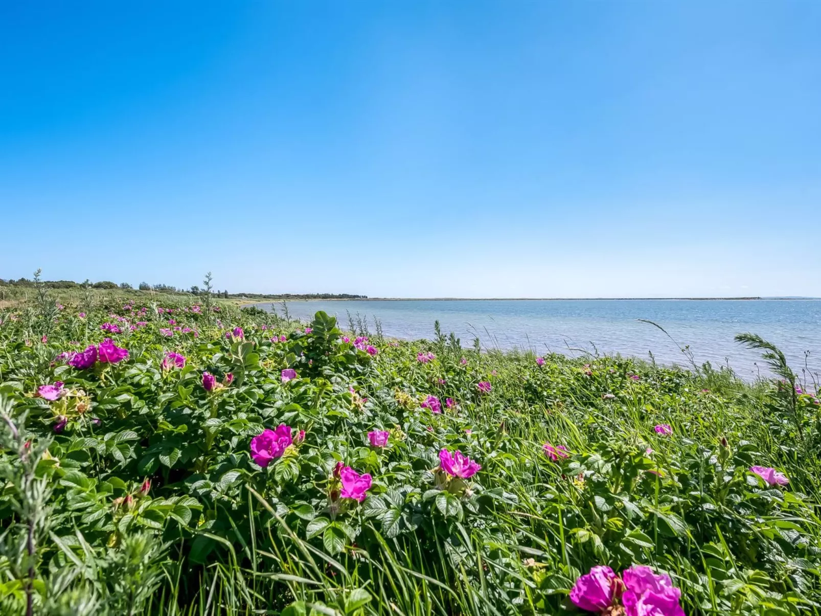 "Tatianna" - 100m from the sea-Buiten