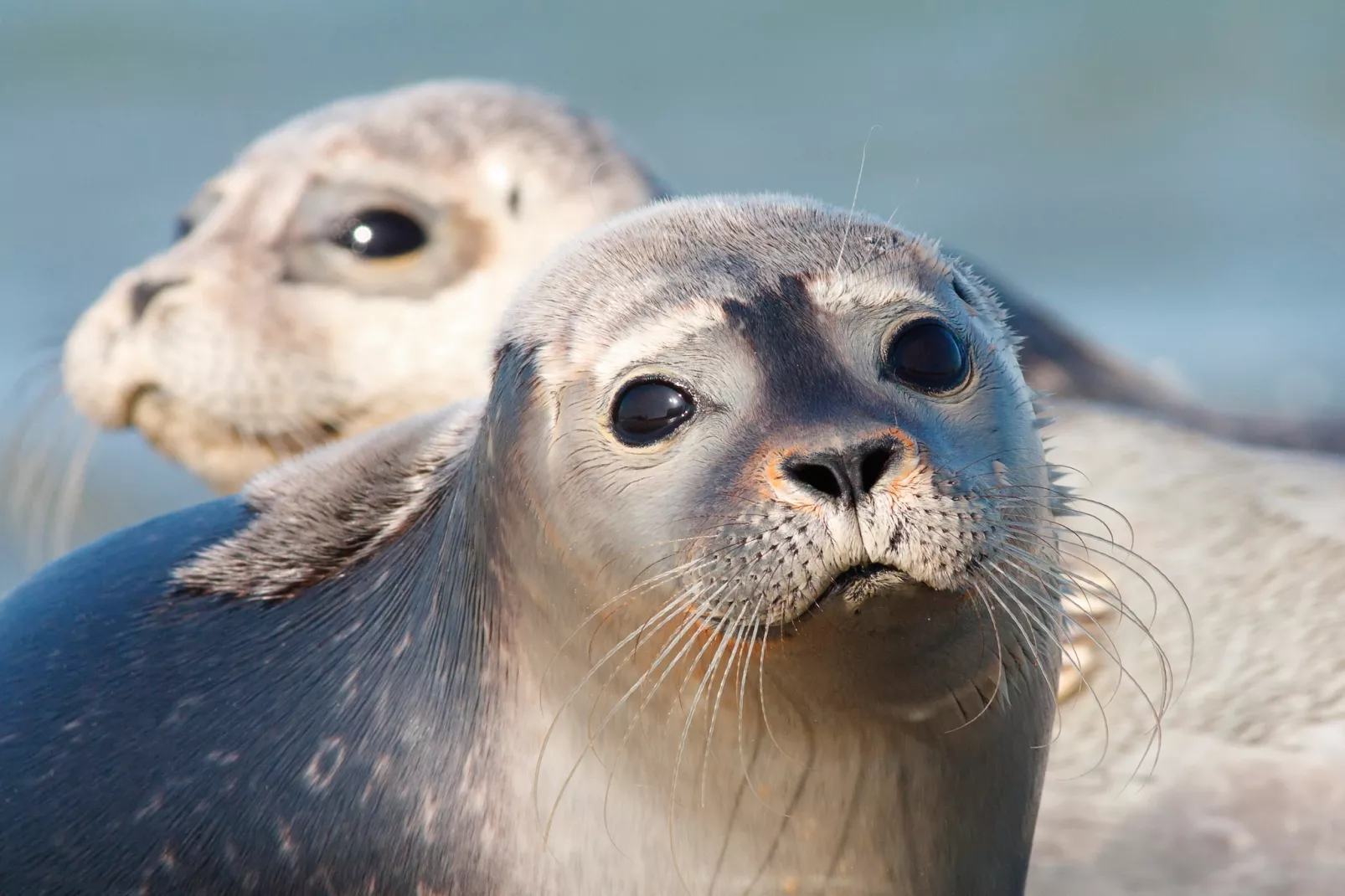 Vakantiepark Emslandermeer 11-Gebieden zomer 5km