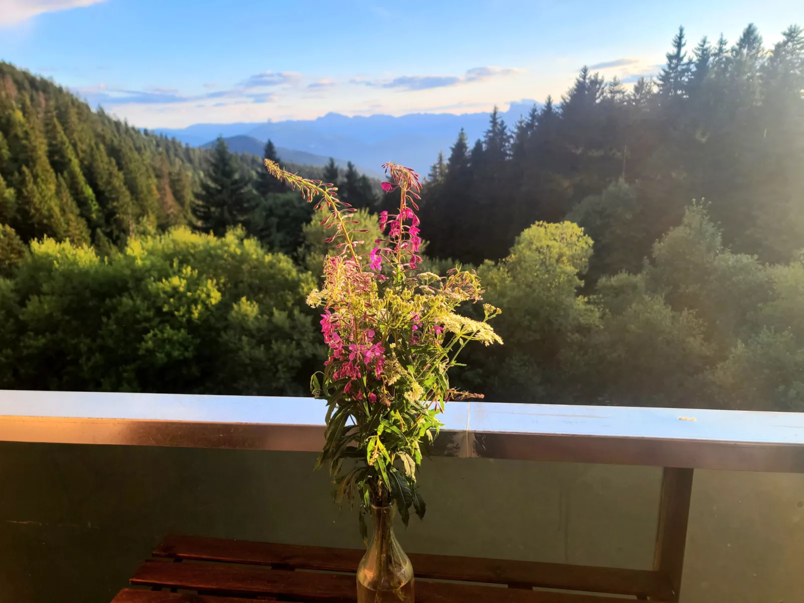 Le Vernon N 406 - ST5-Buiten