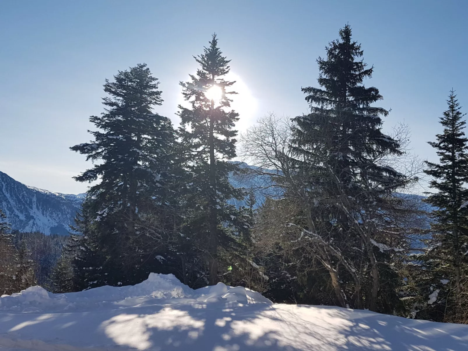 V du Bachat Arolles A-Buiten