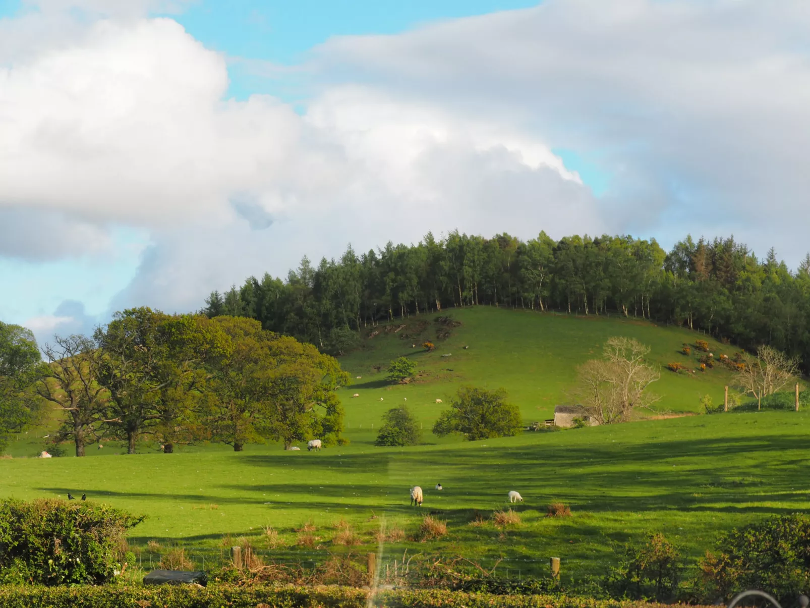 The Duck House-Buiten
