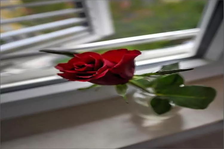 Deluxe Room with King Bed (2)-Binnen