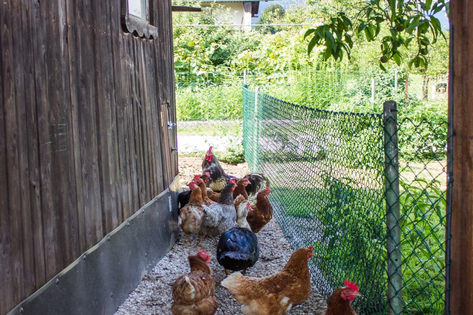 Cozy Holiday Home with Garden, BBQ, and Outdoor Dining Area in Rečica ob Savinji - Two Bedroom Apartment-Buitenlucht