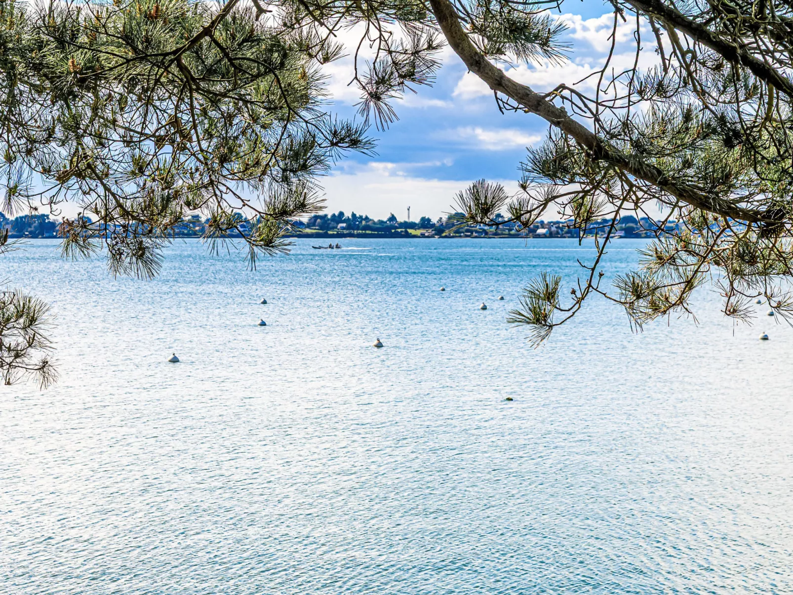 Le nid du Golfe-Omgeving