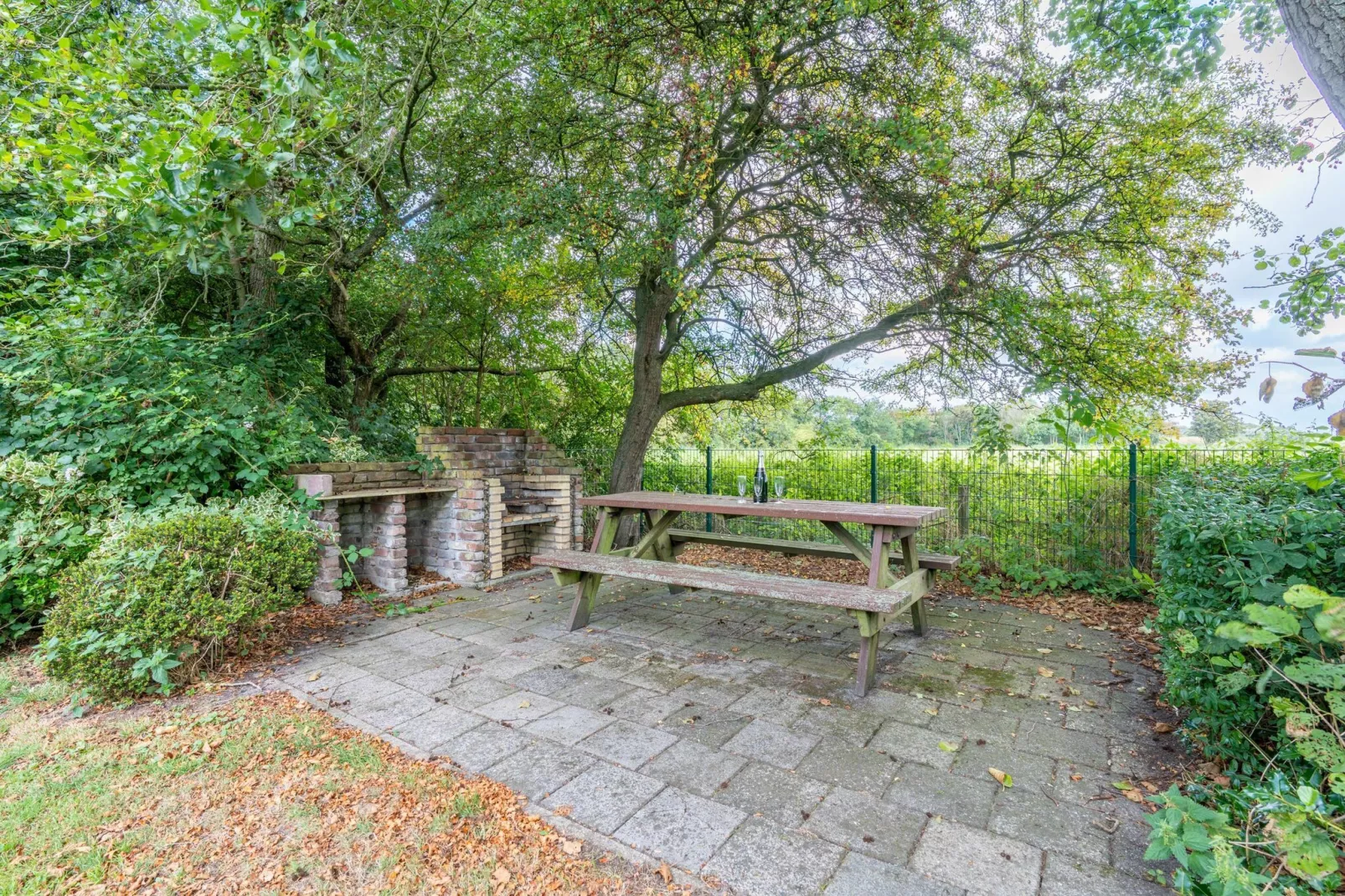 Het oude dijkje-Tuinen zomer