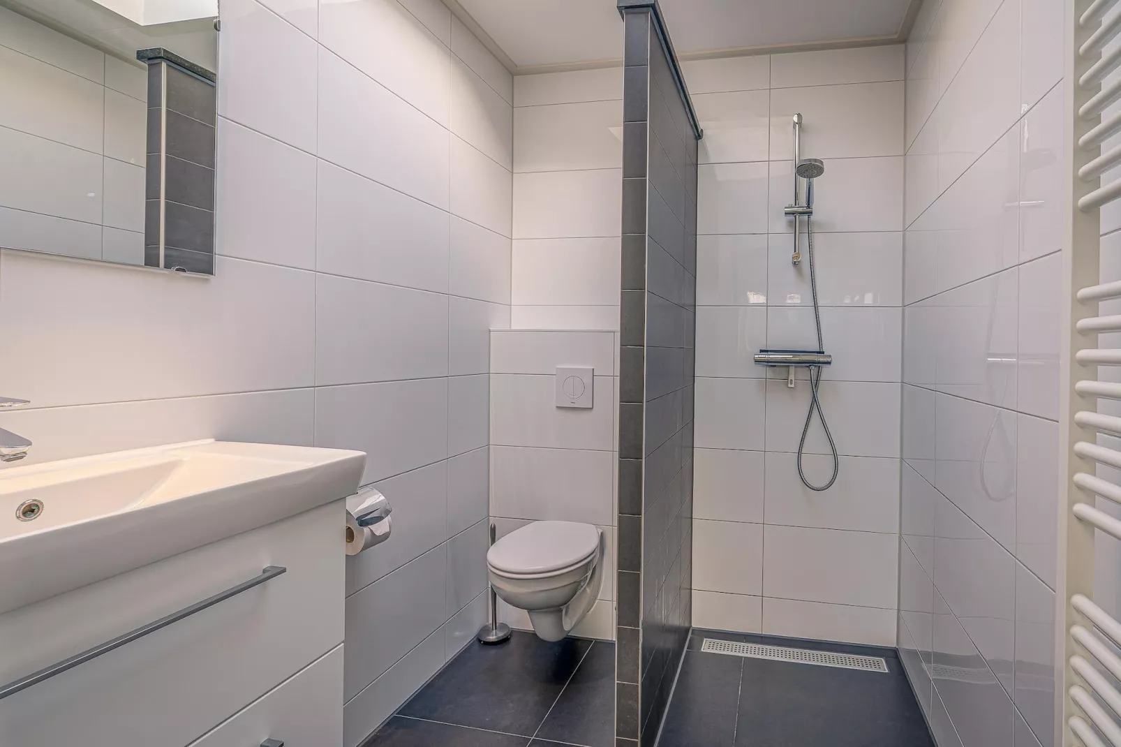 Texelfan Californieweg 9A-Badkamer