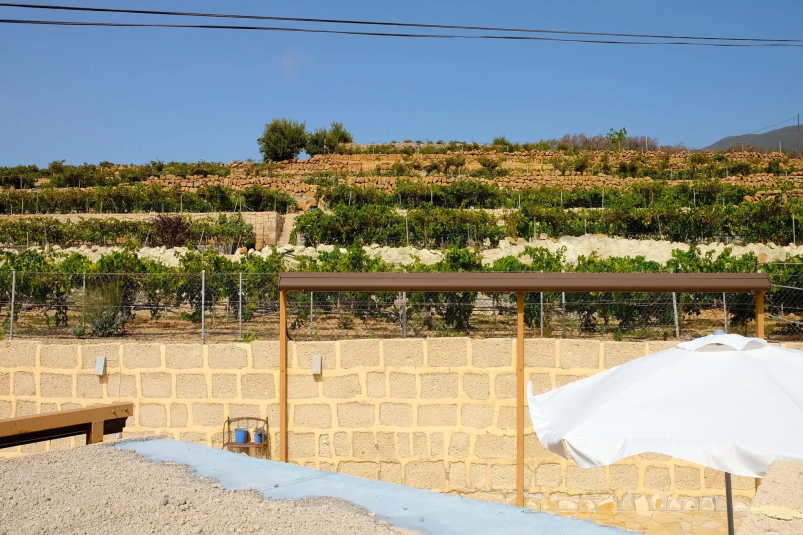 Finca Buenos Aires-Gebieden zomer 1km