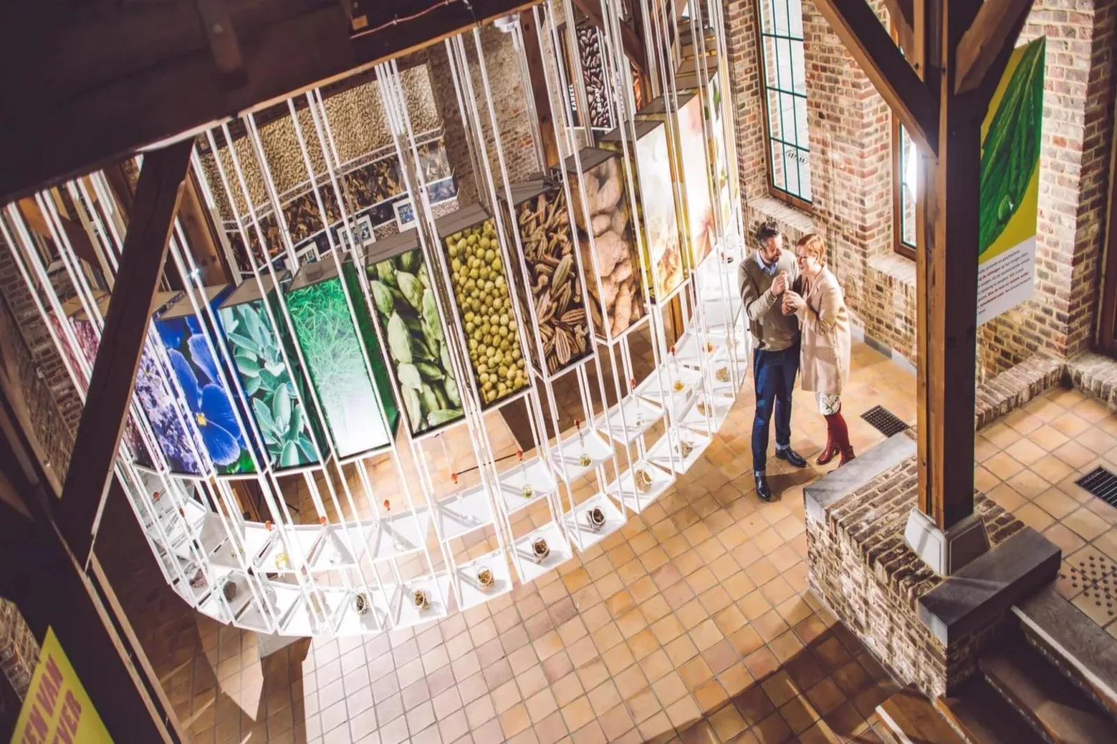 In Sint Lambertus-Gebieden zomer 1km