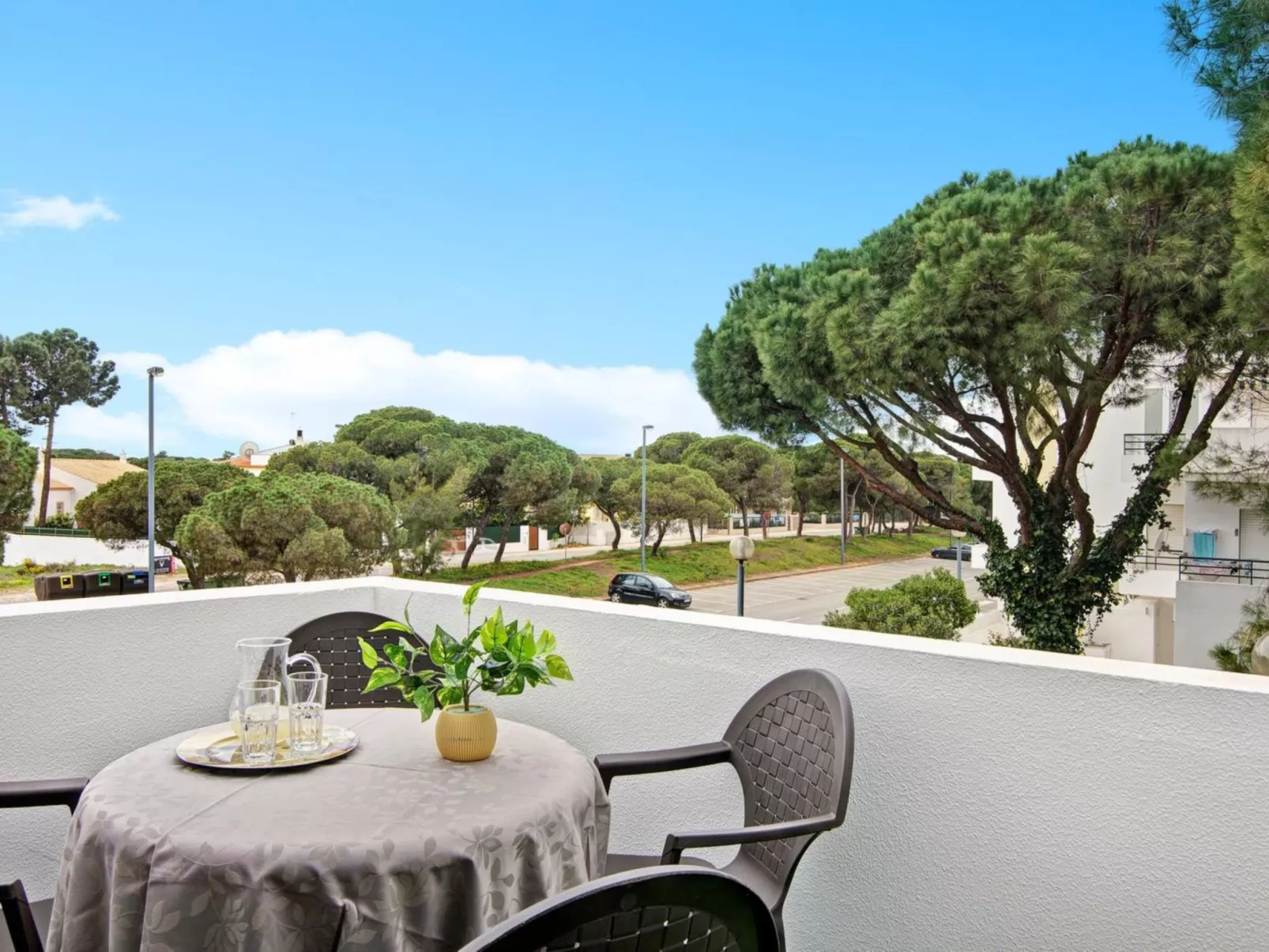 Medusa - Sunny Way-Buiten