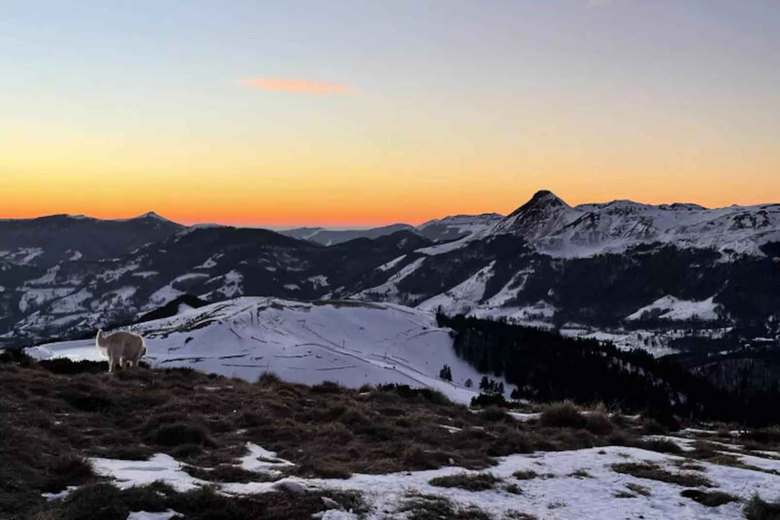Appartements à Le Lioran-Niet-getagd