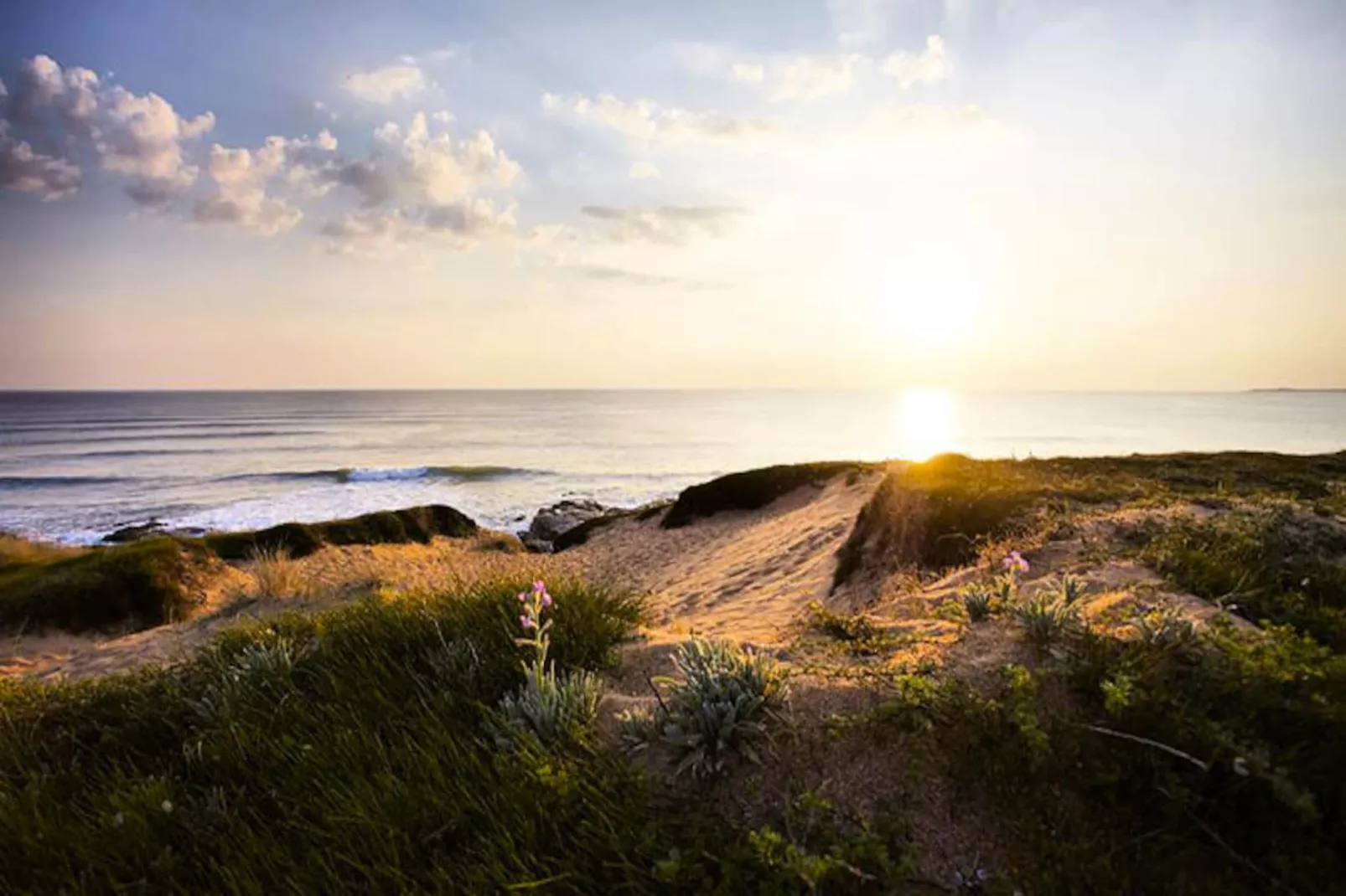 Maison à Le Fenouiller-Niet-getagd