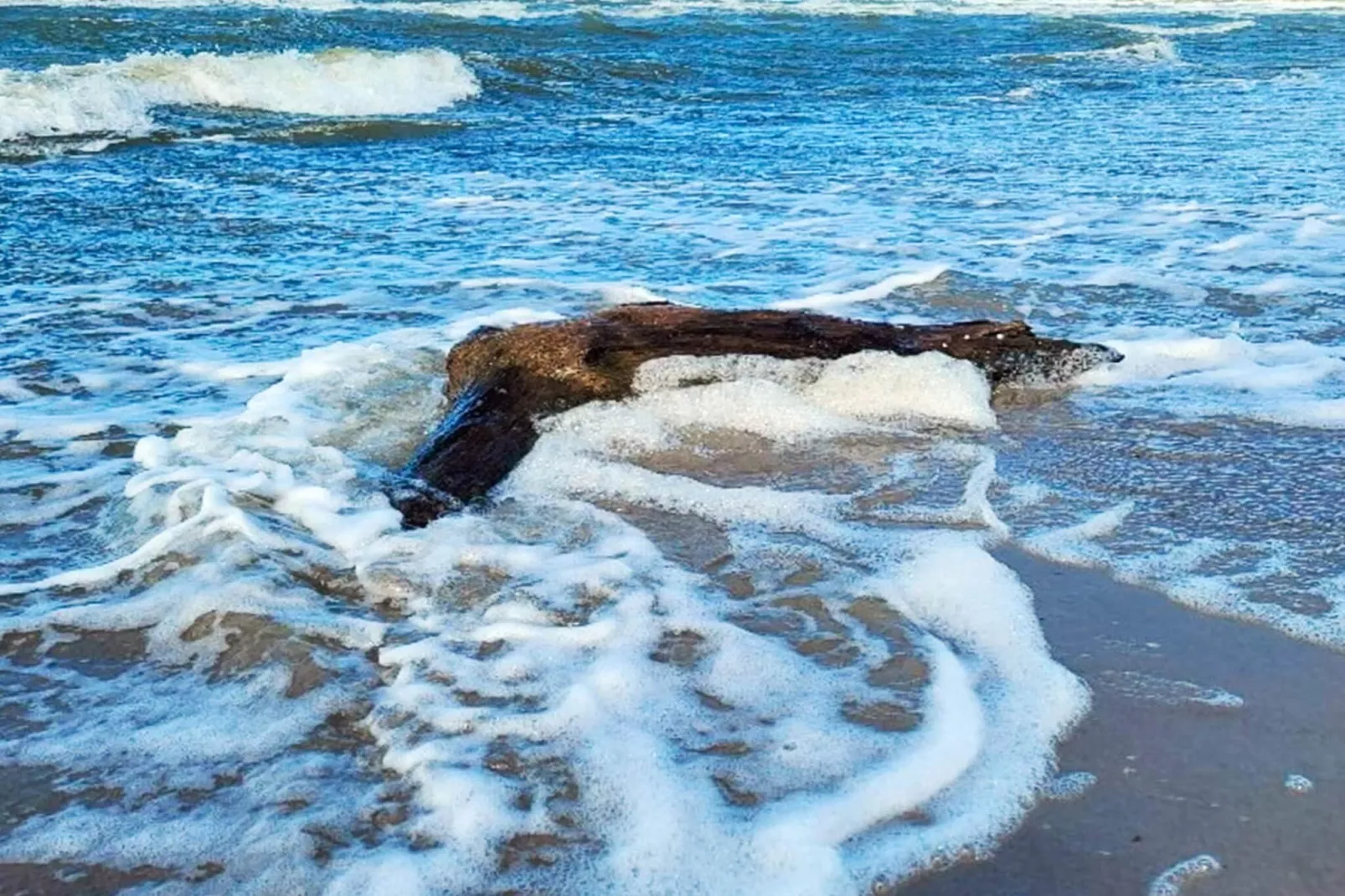 10 persoons vakantie huis in Slagelse-Waterzicht