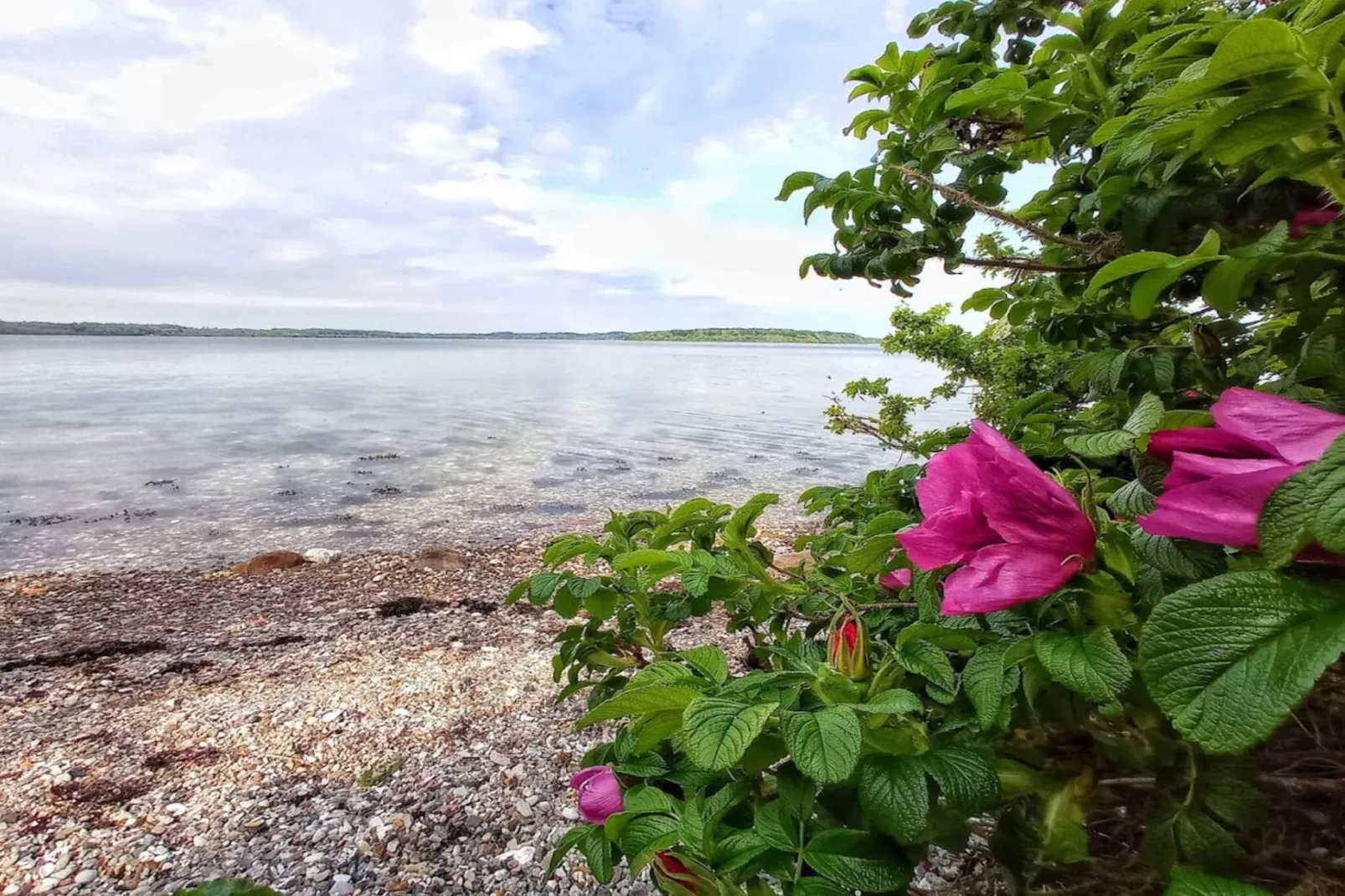 Luxe toevluchtsoord in Loddenhoj-By Traum-Waterzicht
