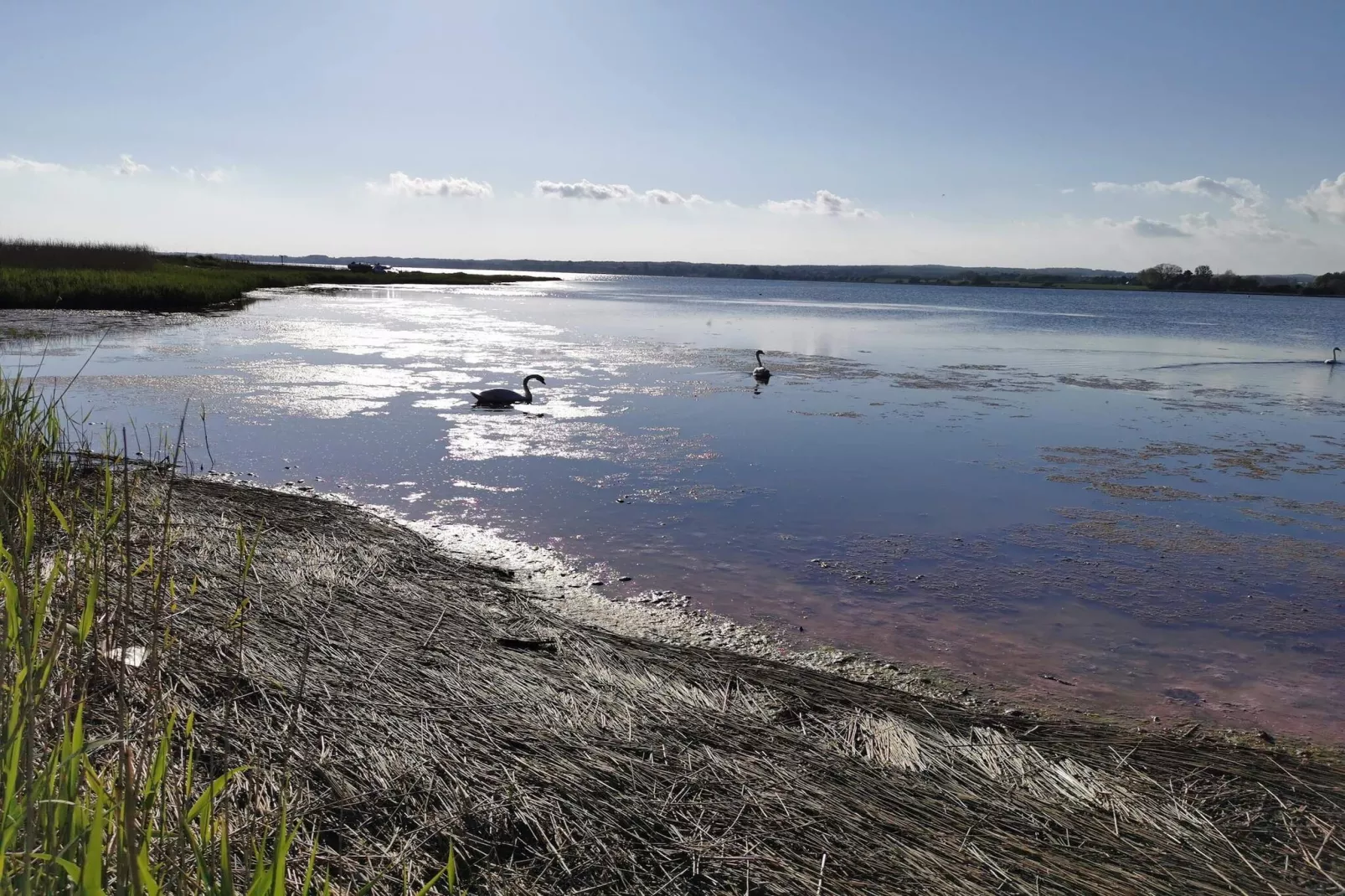 Kust ontsnapping in Praesto -- By Traum Ferienwohnungen-Waterzicht