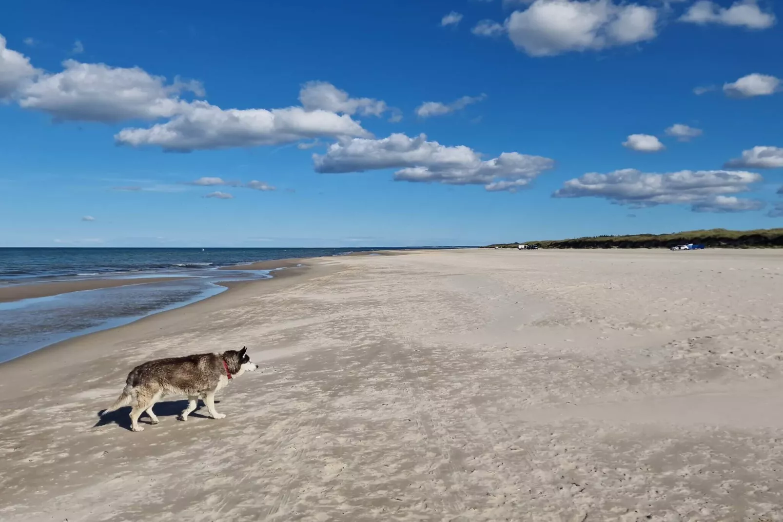 Gerestaureerde huisje in Bratten -- By Traum Ferienwohnungen-Waterzicht