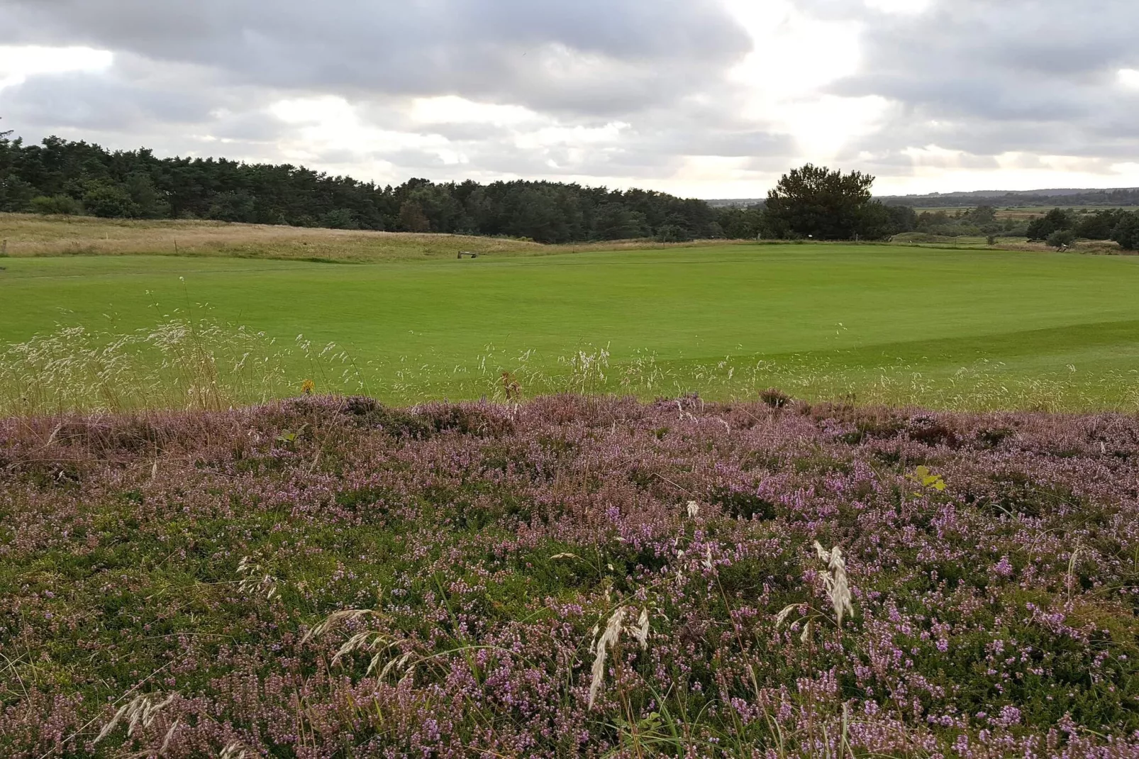 6 persoons vakantie huis in Fjerritslev-By Traum-Niet-getagd