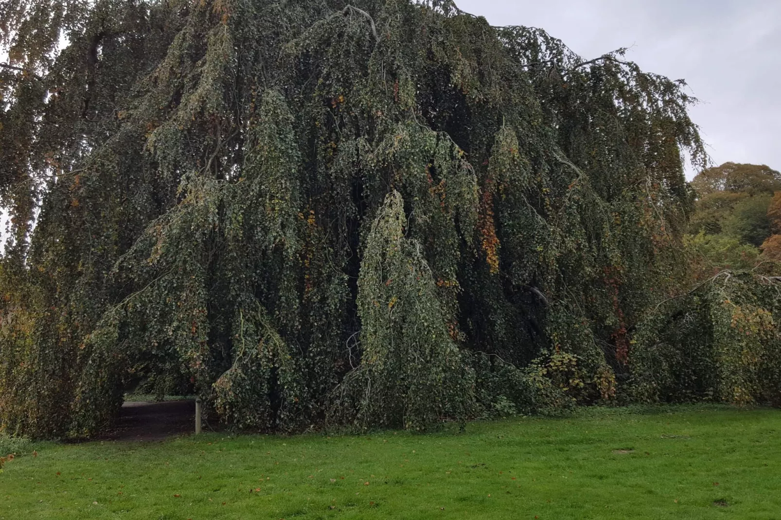 6 persoons vakantie huis in Øster Assels-By Traum-Niet-getagd