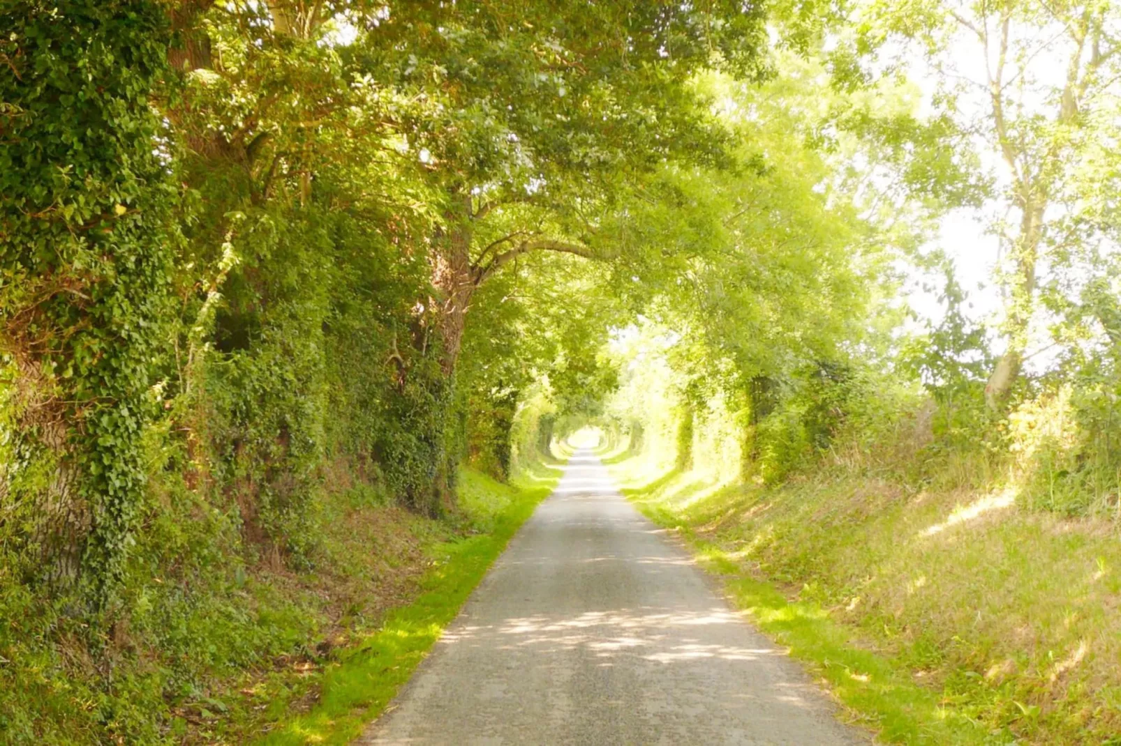 Gite Le Jonquet-Gebieden zomer 1km