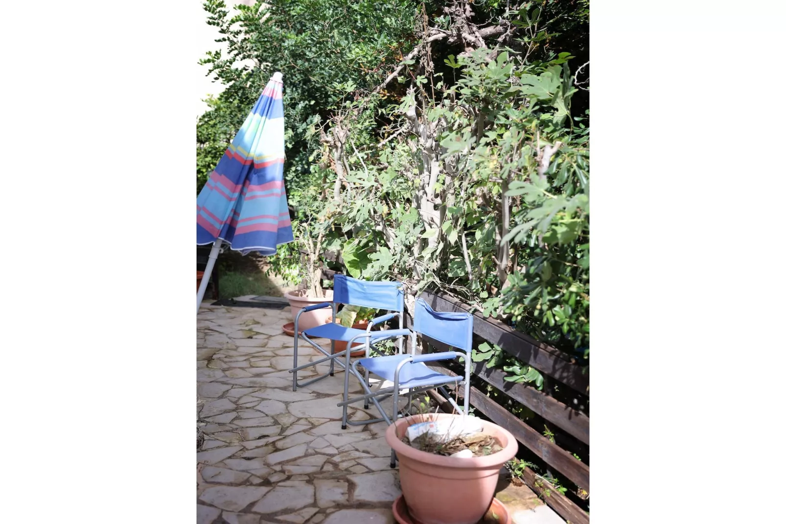 Casa del Limoneto Noto Marina-Sfeer