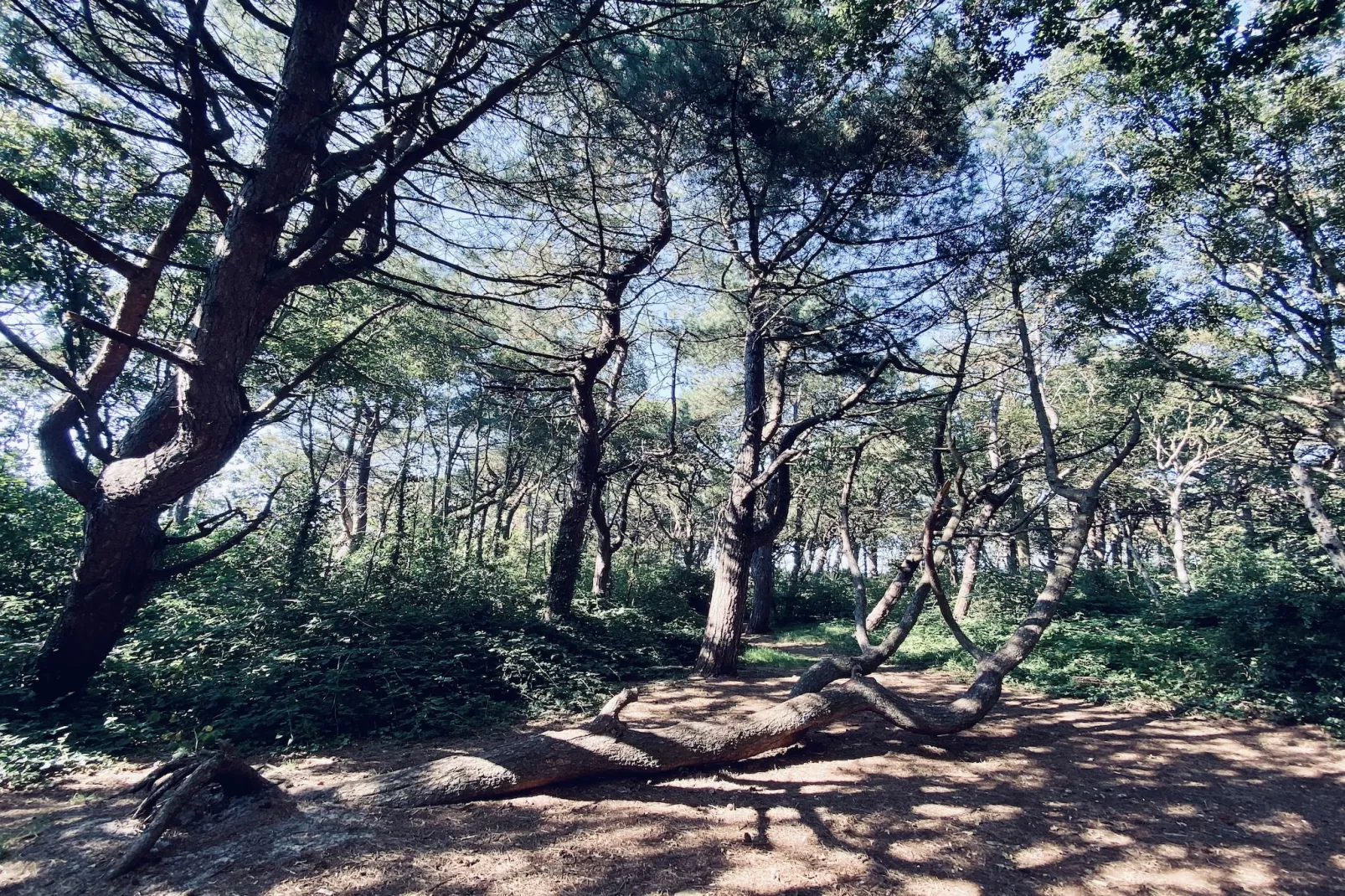 De Biotoop-Tuinen zomer