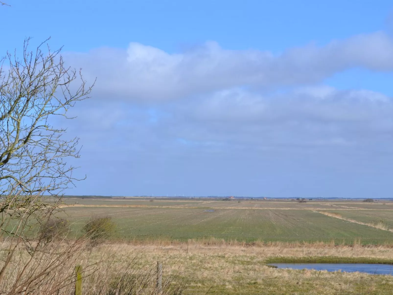 "Arik" - 700m from the sea-Buiten