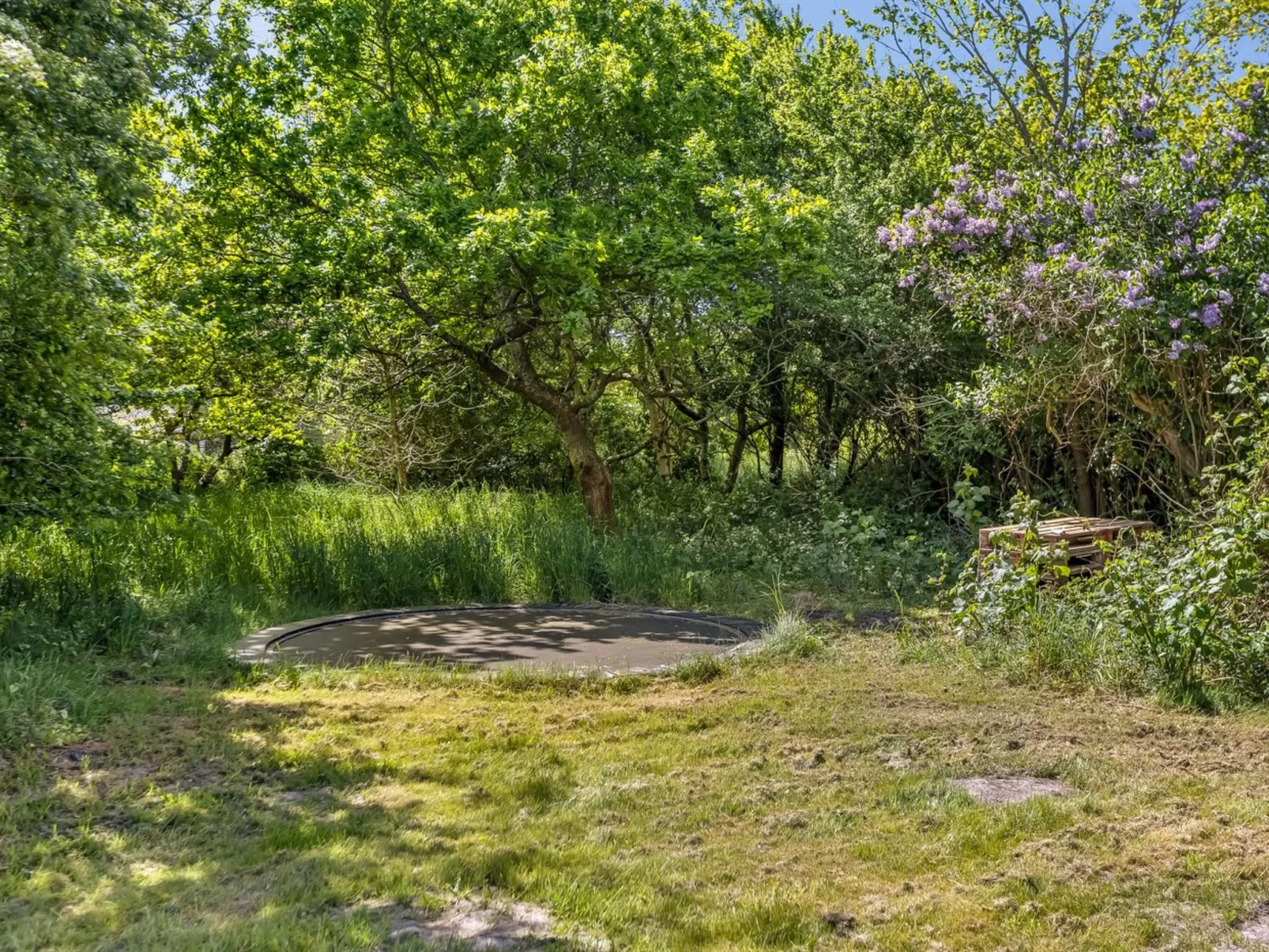 "Narvik" - 4.5km from the sea-Buiten