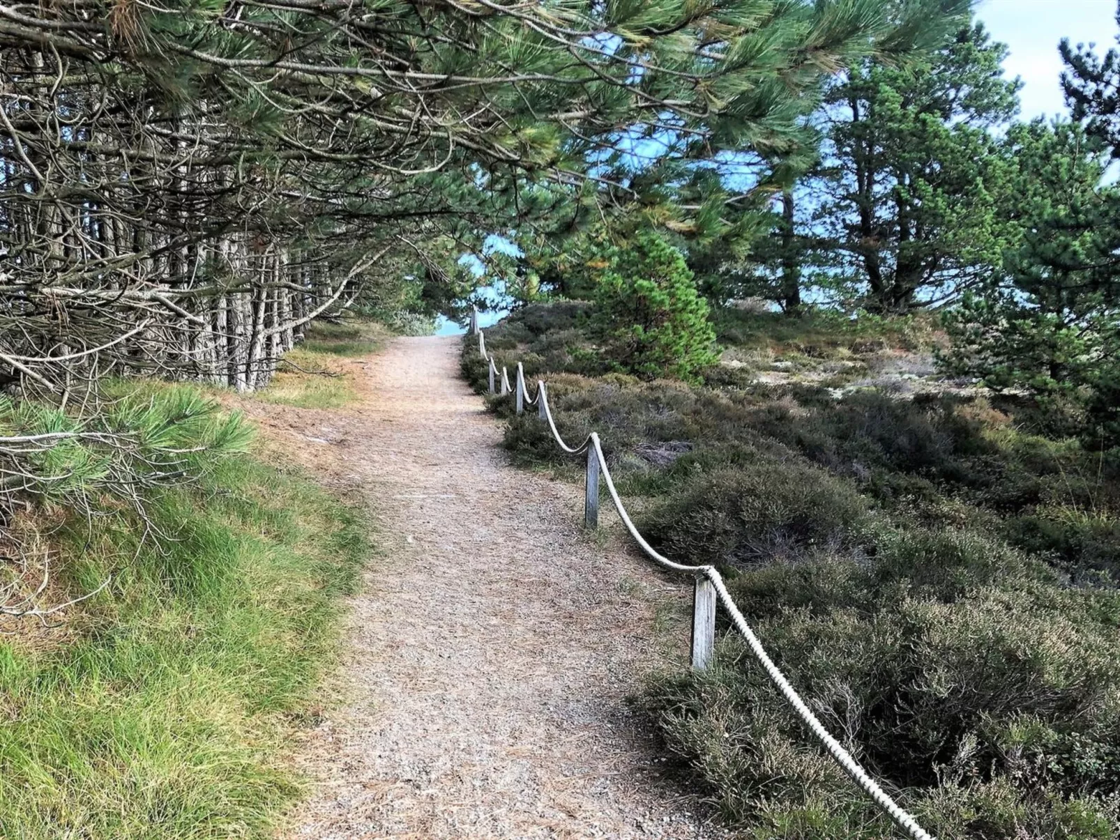 "Turkka" - 3.8km from the sea-Buiten