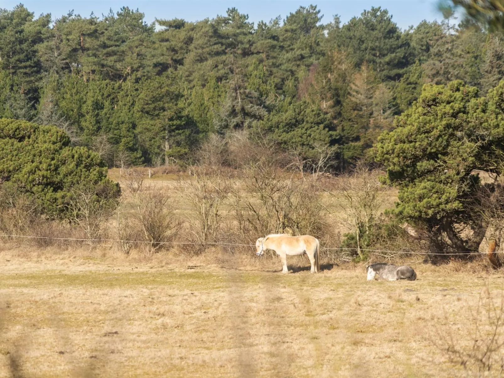 "Tine" - 2.3km from the sea-Buiten