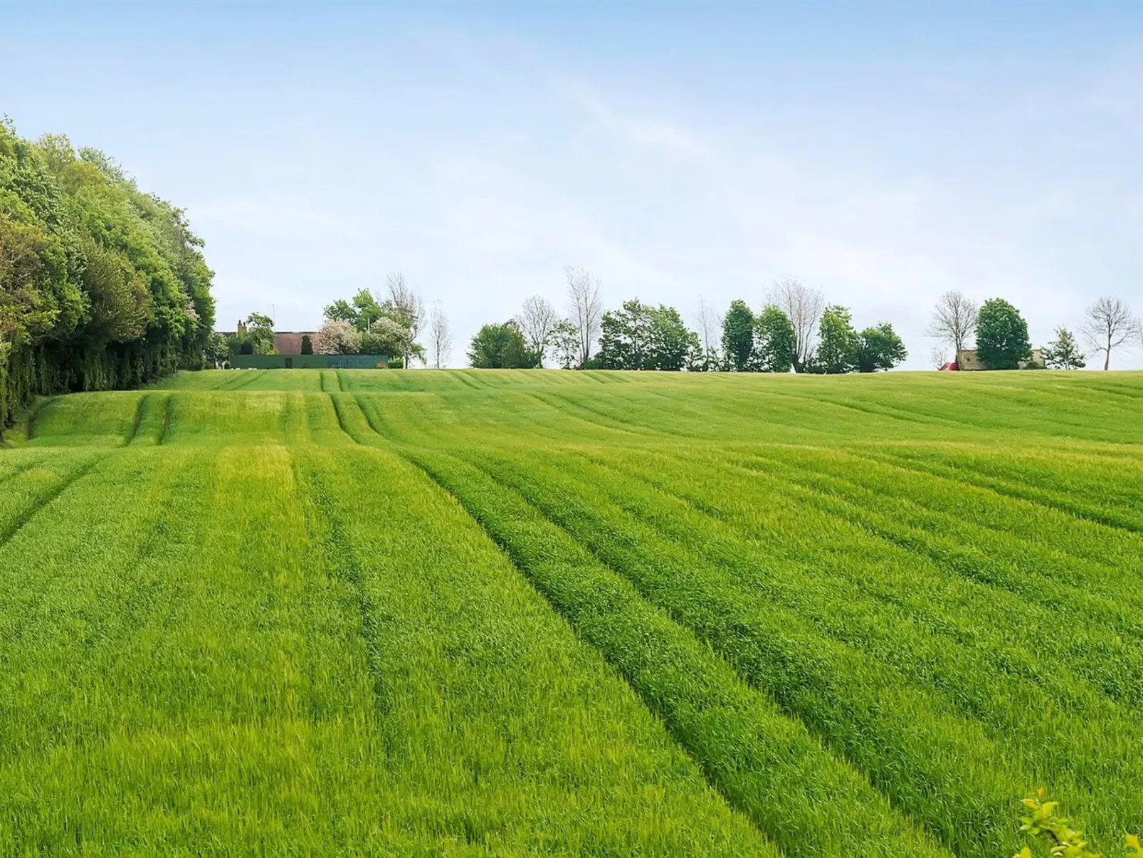 "Harre" - 300m from the sea-Buiten