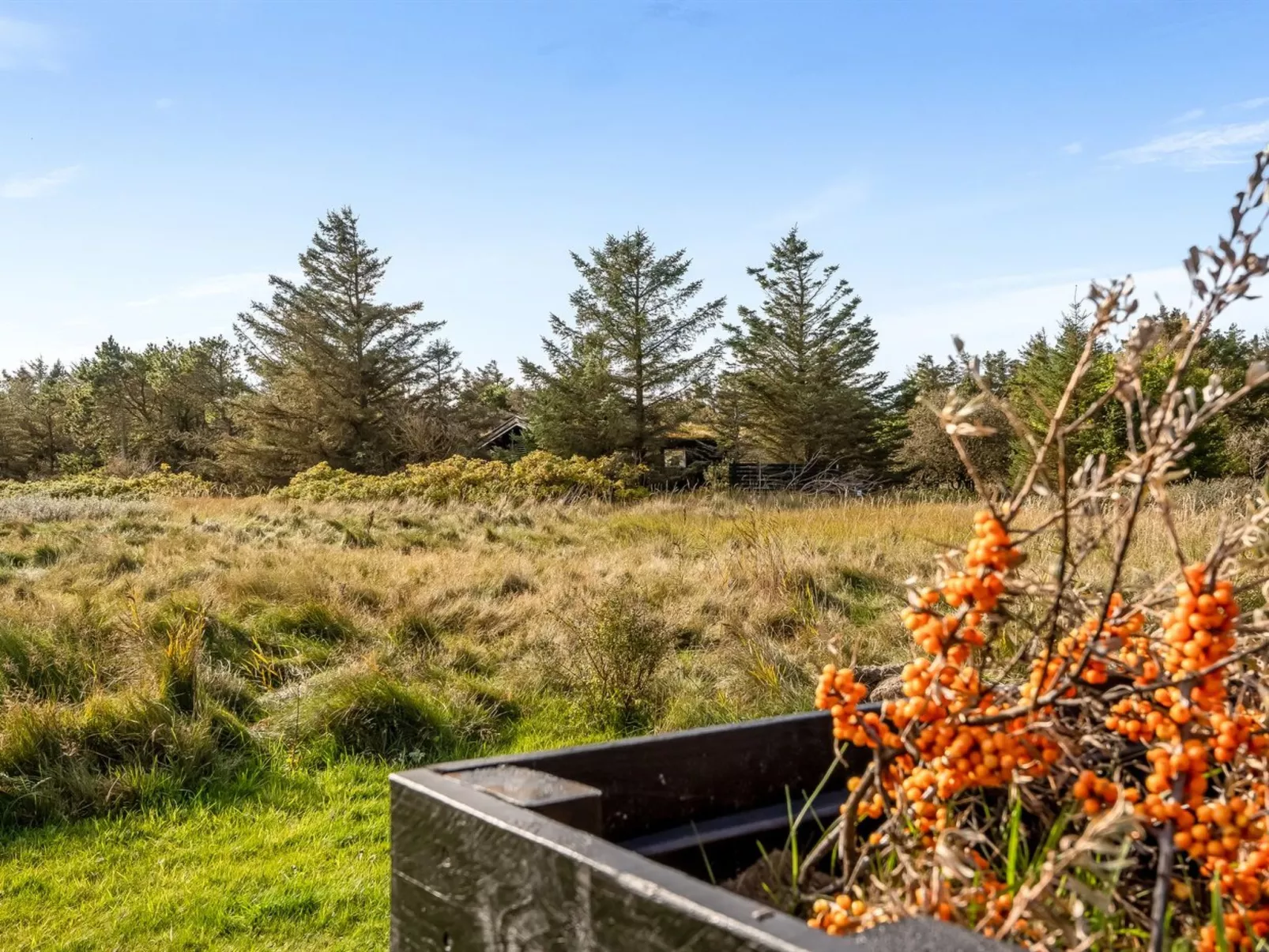 "Yaim" - 800m from the sea-Buiten