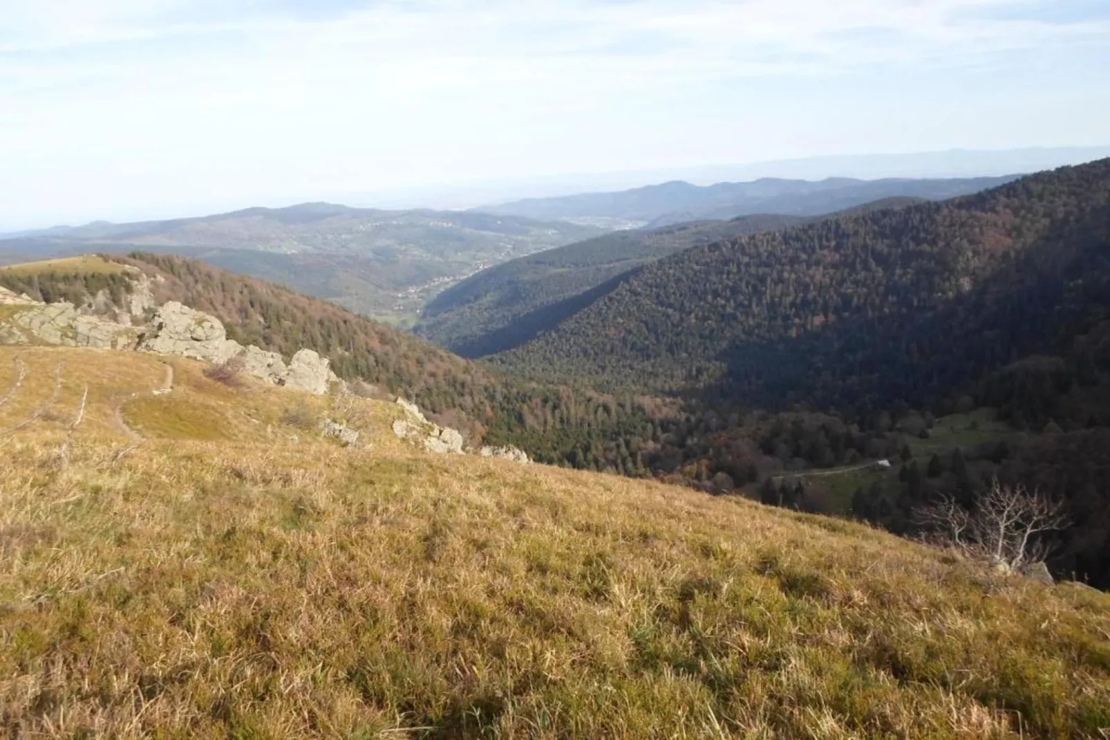 Domaine Des Messires 2-Gebieden zomer 20km