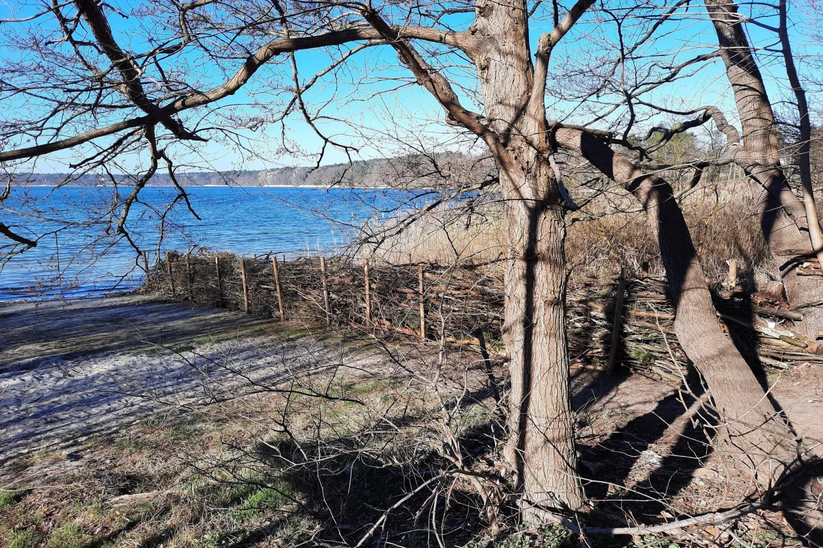 Luxus-Familienappartement / 6 Personen-Gebieden zomer 5km