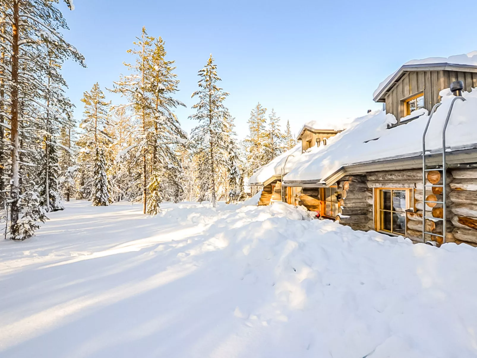 Teerentie / fun / dasher-Binnen