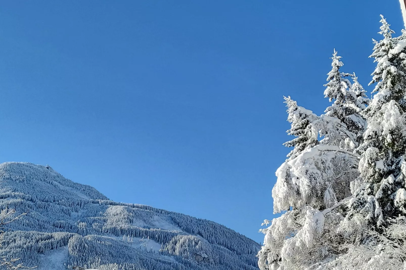 Appartement Tauernfenster-Gebied winter 1km