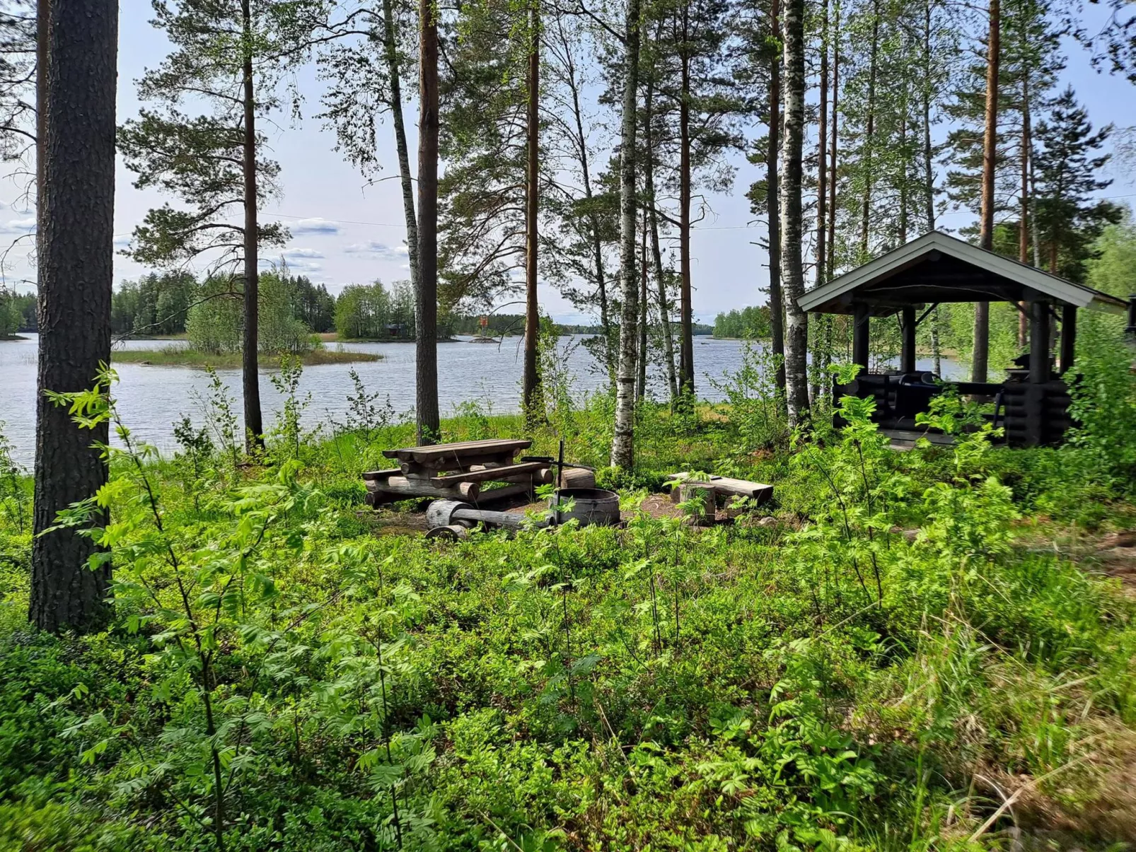 Haapaniemi, cjoe020-Binnen