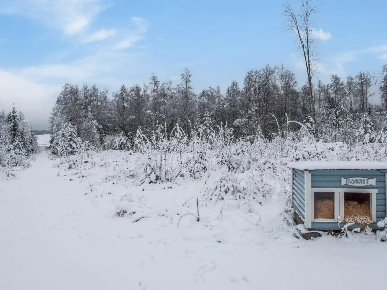 Kivilahti vuokatti-Binnen