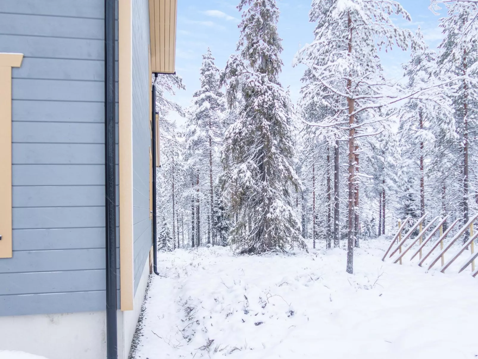 Saukonpesä b-Binnen